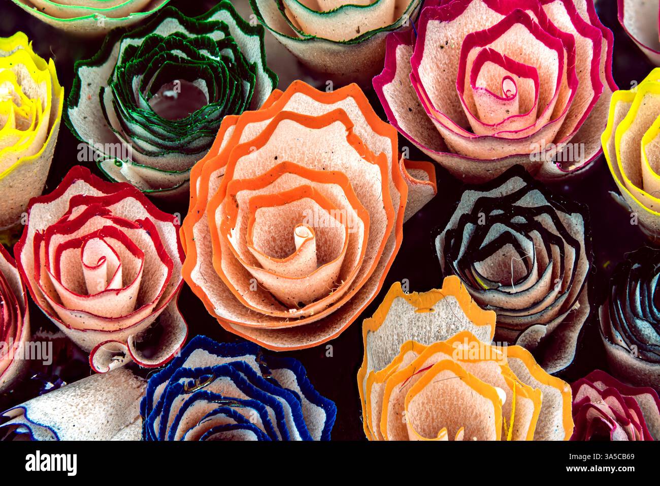 Wunderschöne Makroansicht von Bleistiftspänen in bunten Mustern. Makroaufnahme von bunten Bleistiftspänen, die Rosen ähneln Stockfoto