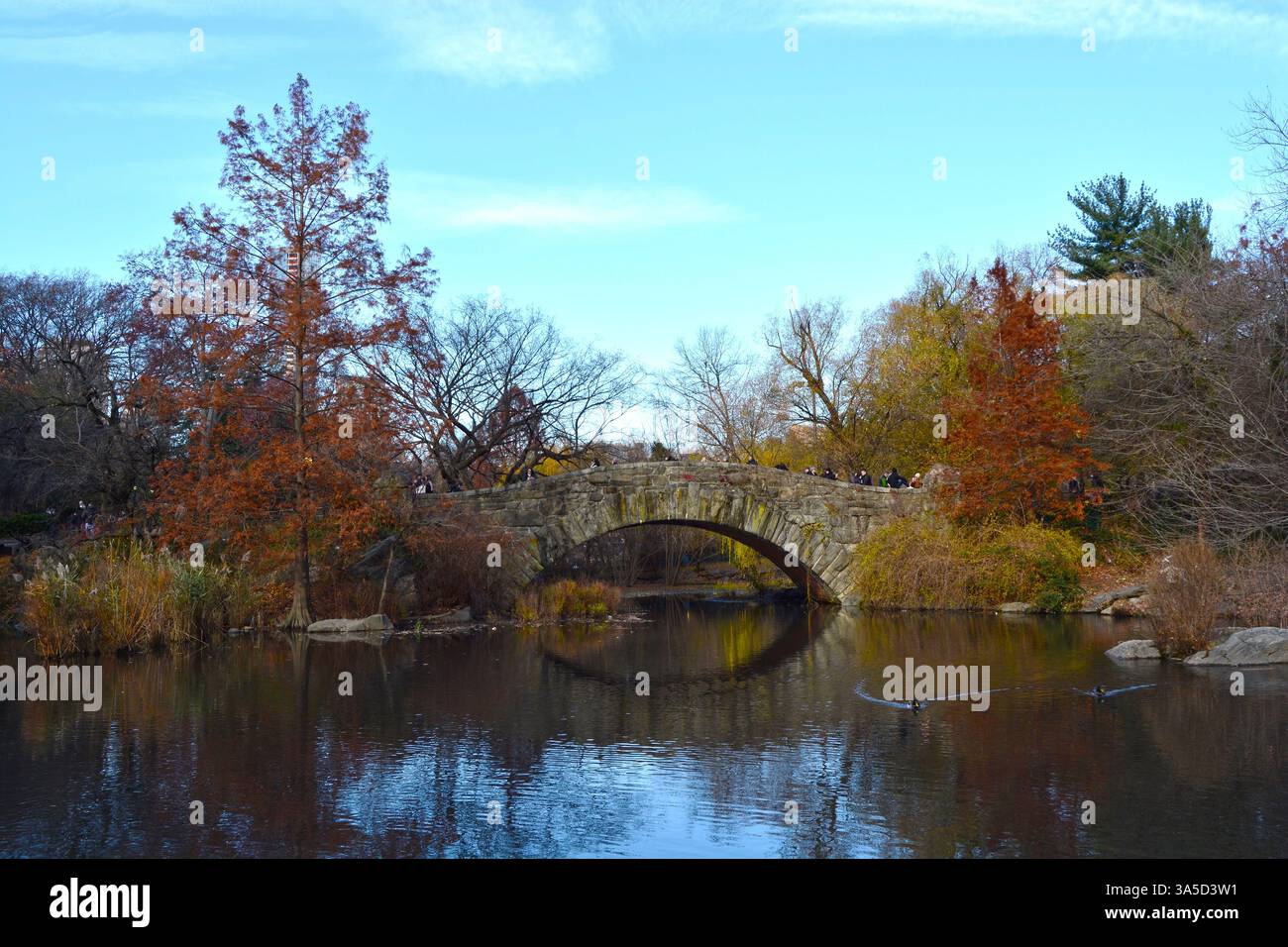 Gapstow Bridge über den Teich mit Herbstlaub im Central Park New York City USA Stockfoto