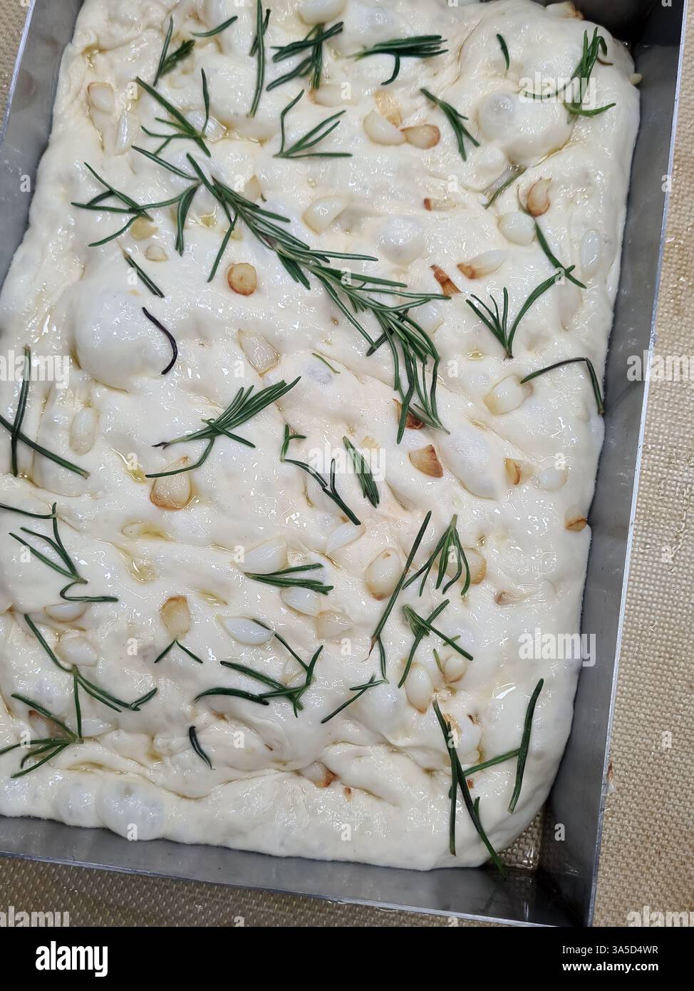 Frisch zubereitetes Focaccia-Brot mit Rosmarin- und Pinienkernen ist fertig zum Backen und zeigt die Zutaten und den Zubereitungsstil. Stockfoto
