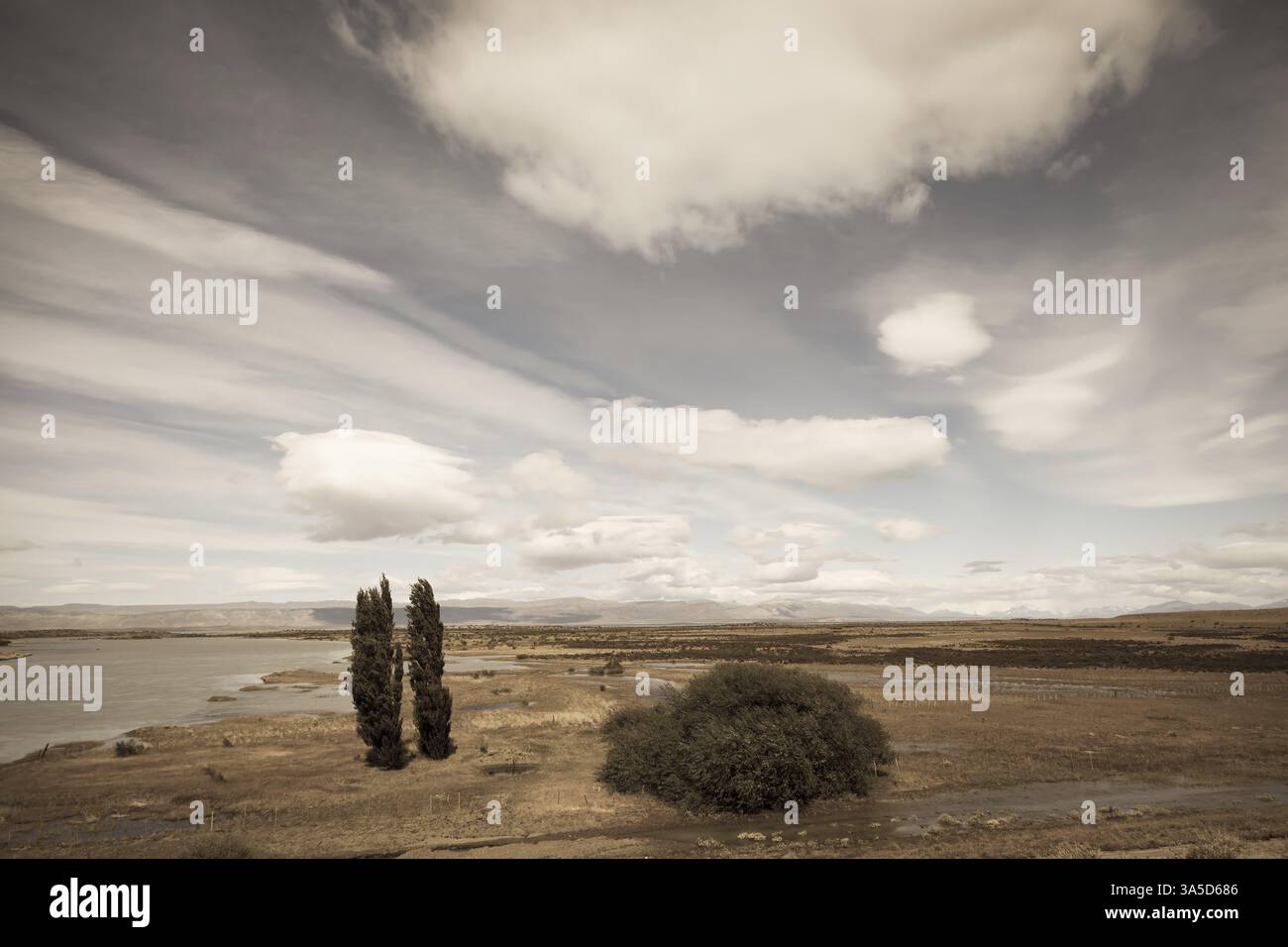 Argentinisches Patagonien an einem windigen Tag. Gelbe flache Wüste mit flachen Seen Stockfoto