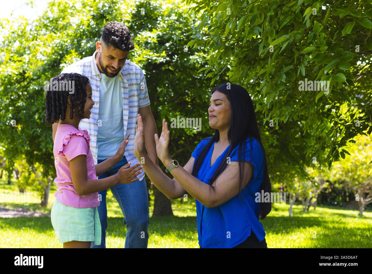 Die Familie genießt gemeinsam im sonnigen Park ein verspieltes Spiel im Freien, lächelt und knüpft an Stockfoto
