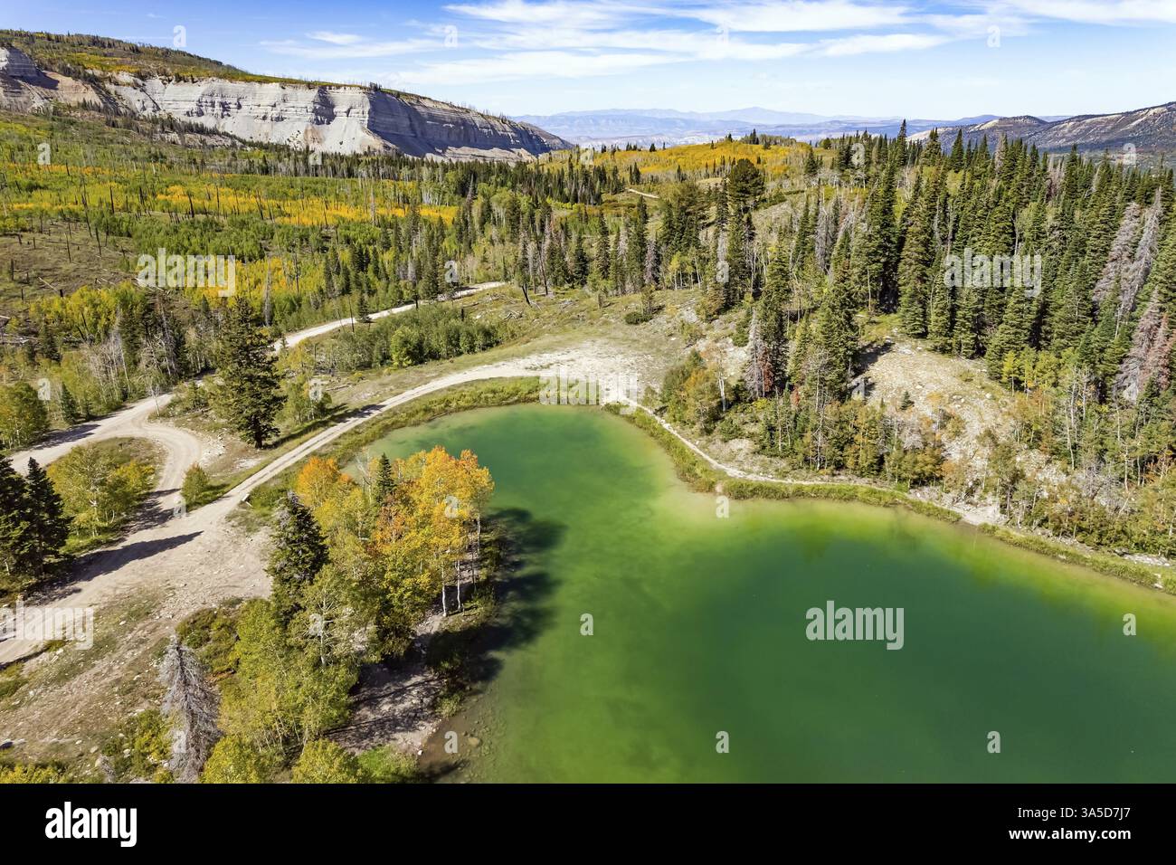 Wunderschöner seichter See inmitten eines immergrünen Waldes von Manti la Sal. Das Foto wurde aus der Vogelperspektive mit Drohne aufgenommen. Utah. USA Stockfoto