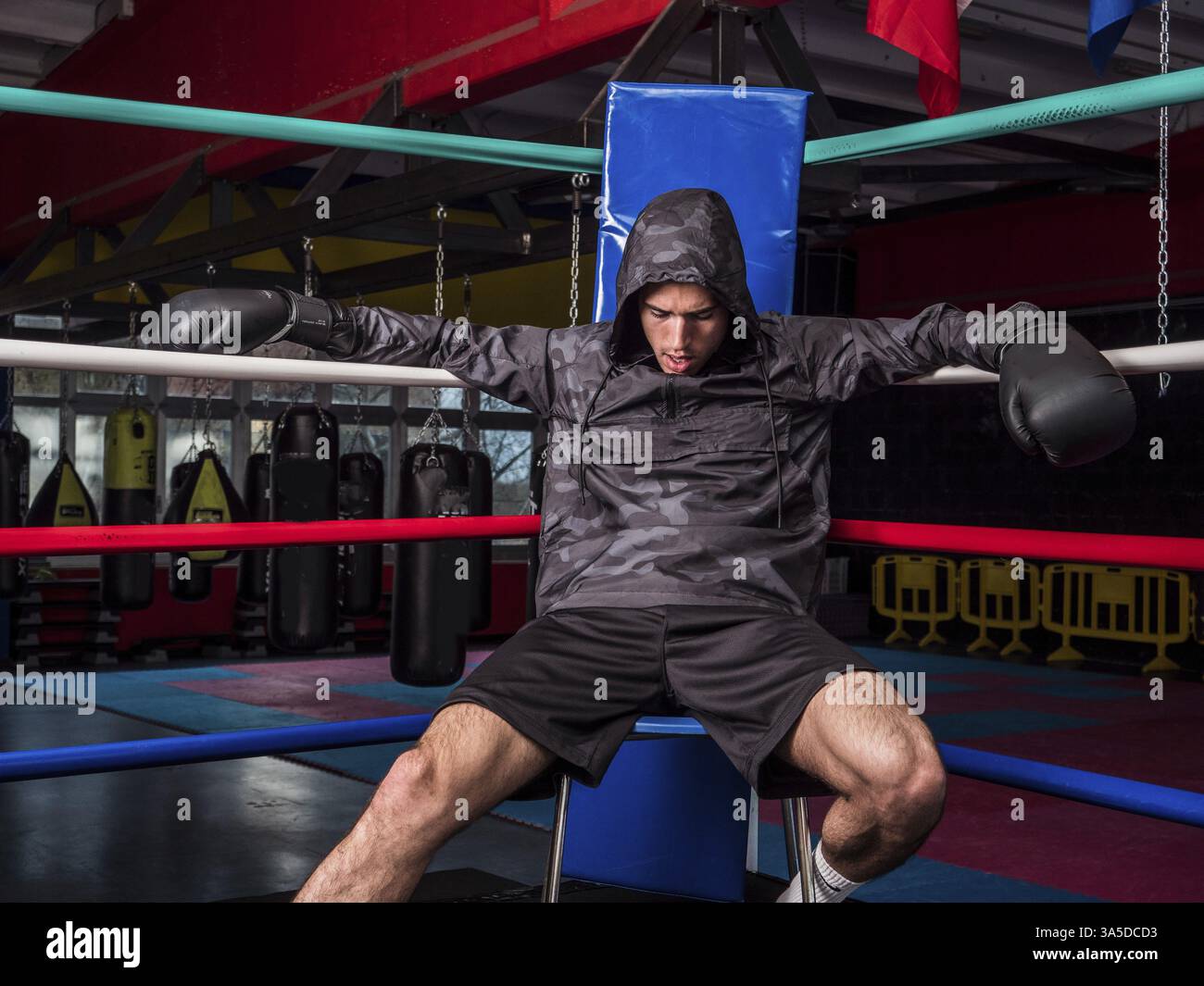 Junger Boxer, der an den Seilen an der Boxenringecke ruht, Shorts und Hoodie trägt Stockfoto