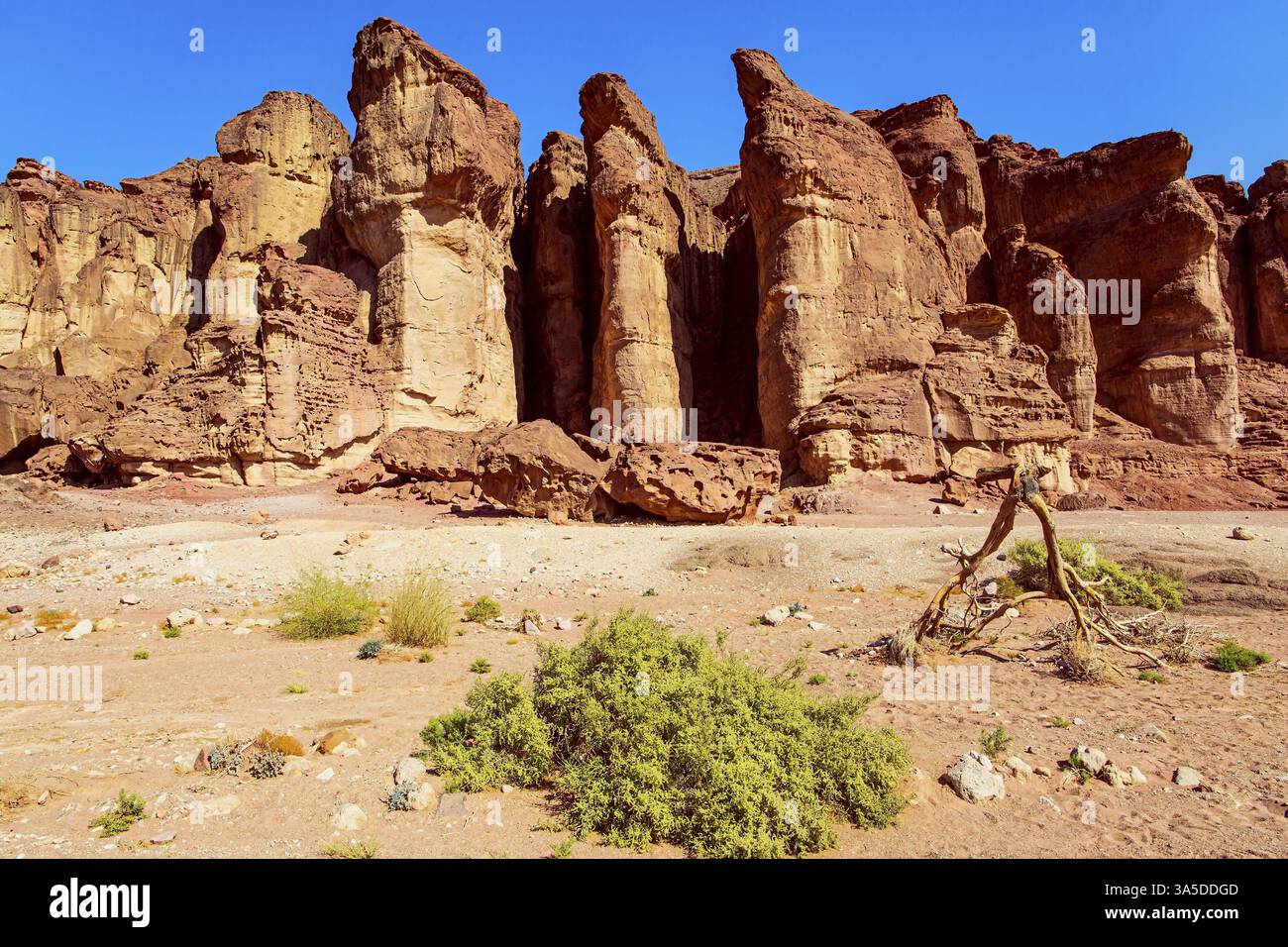 Salomon-Säulen des Timna-Parks. Sandsteinfelsen. Israel. Heißer Novembertag. Das Timna-Tal im Süden der Arava-Wüste, in der Nähe des Ferienorts Eilat Stockfoto