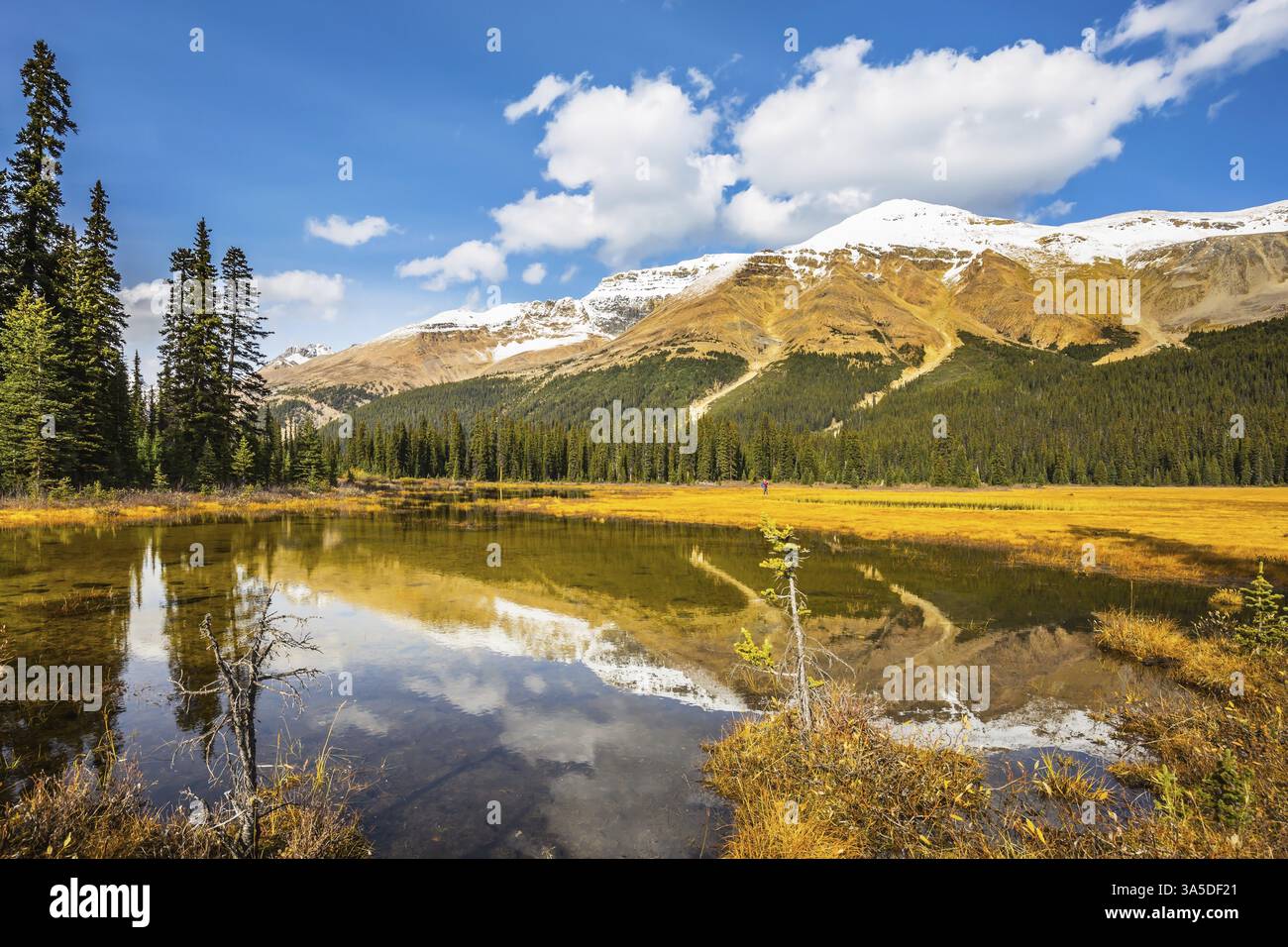 Das Konzept des aktiven Tourismus und des Ökotourismus. Wasserdurchflutetes Tal in den verschneiten Rocky Mountains. Sonniger Tag Stockfoto