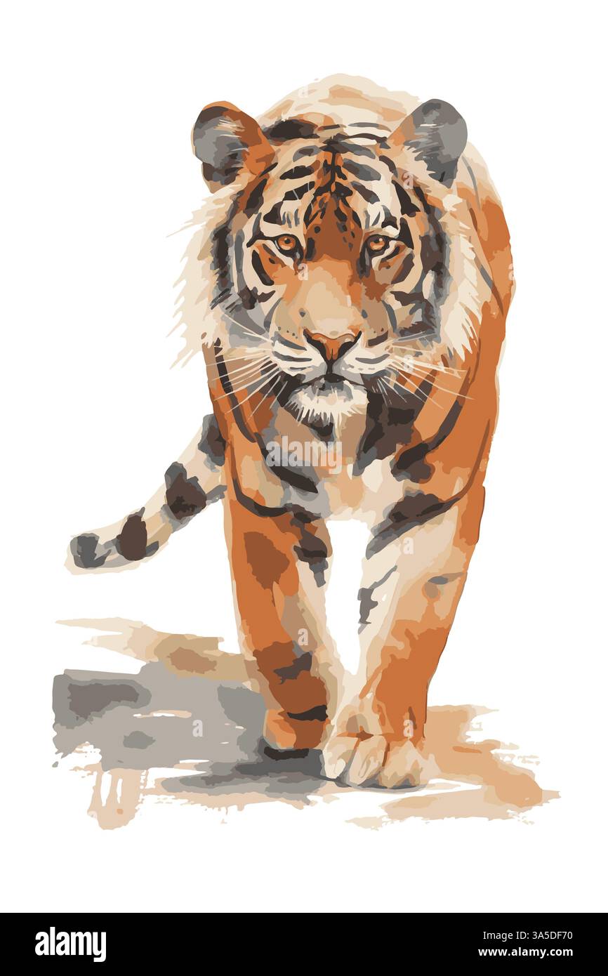 Aquarell Tigerclip Art isolierter weißer Hintergrund. Friedlich und harmonisch durch den Wald mit seinem mächtigen Körper und seiner majestätischen Aura. Stock Vektor