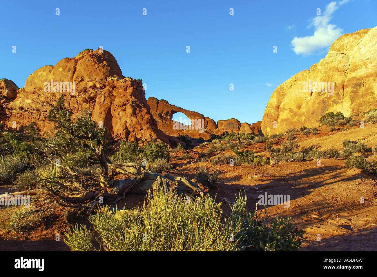 Malerische rot-braune Sandsteinklippen bilden eine einzigartige Landschaft. Skyline Arch. Die einzigartige Schönheit des Arches Park in den USA. Grandiose Gesteinskompositionen, Nat Stockfoto