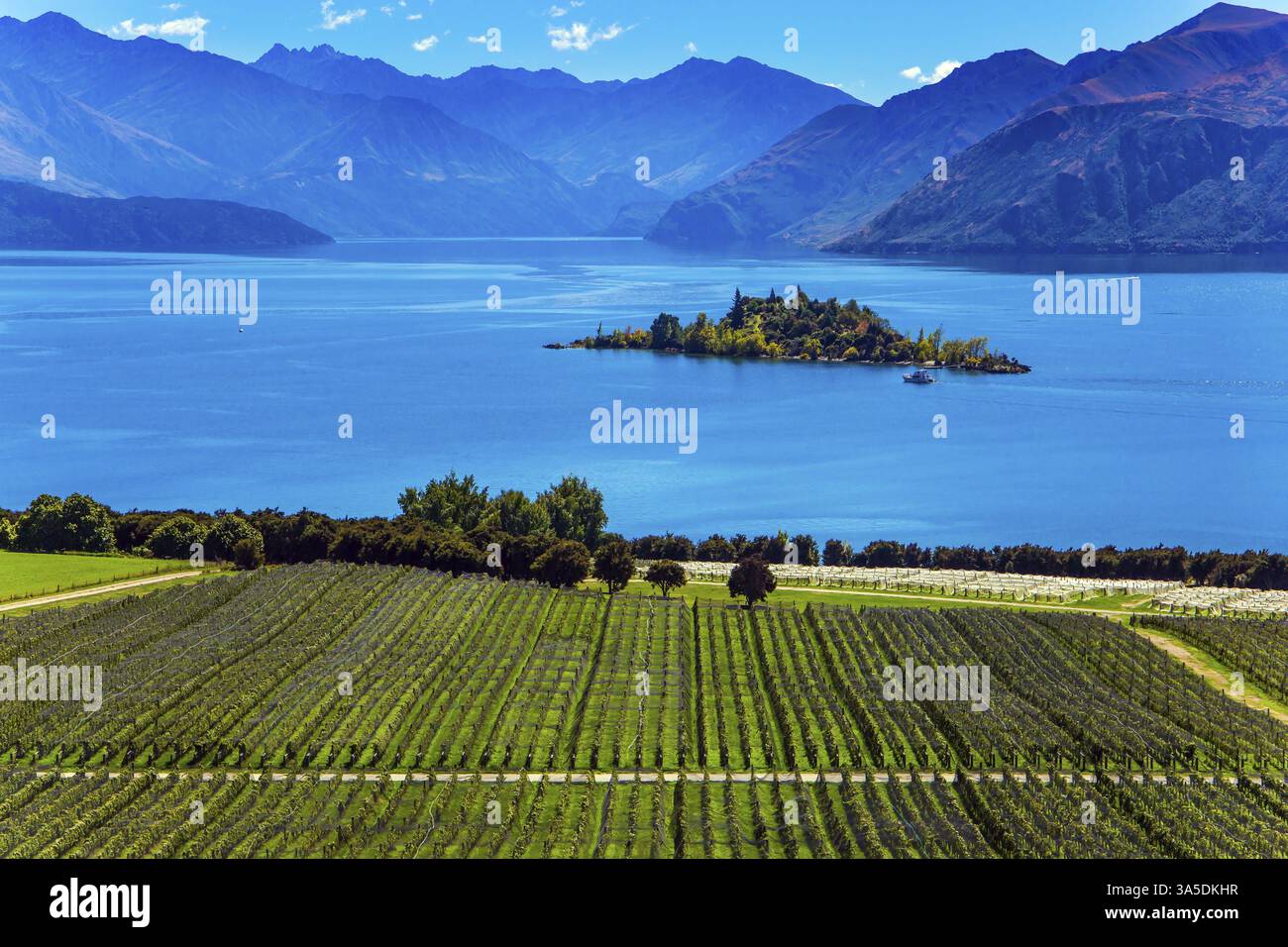 Neuseeland, Südinsel. Malerische Weinberge steigen hinunter ins Wasser. Entzückende kleine Insel im Lake Wanaka. Der Begriff ökologisch und p Stockfoto