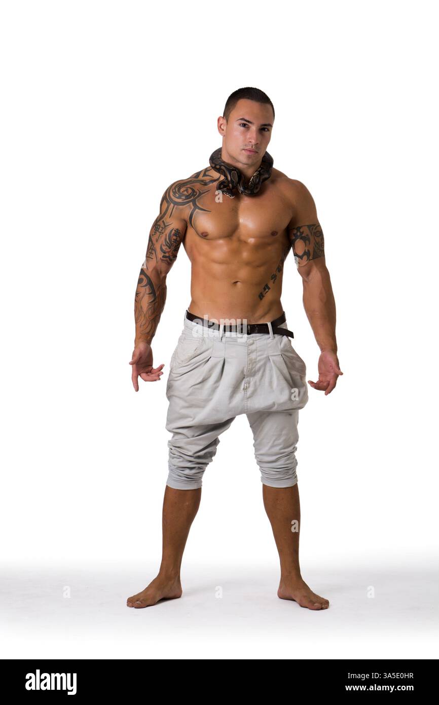 Porträt des muskulösen Mannes mit rasiertem Kopf stehend im Studio mit weißem Hintergrund, der weiße Hosen und kleine Boa- oder Python-Schlangenpackung trägt Stockfoto Porträt des muskulösen Mannes mit rasiertem Kopf stehend im Studio mit weißem Hintergrund, der weiße Hosen und kleine Boa- oder Python-Schlangenpackung trägt Stockfoto