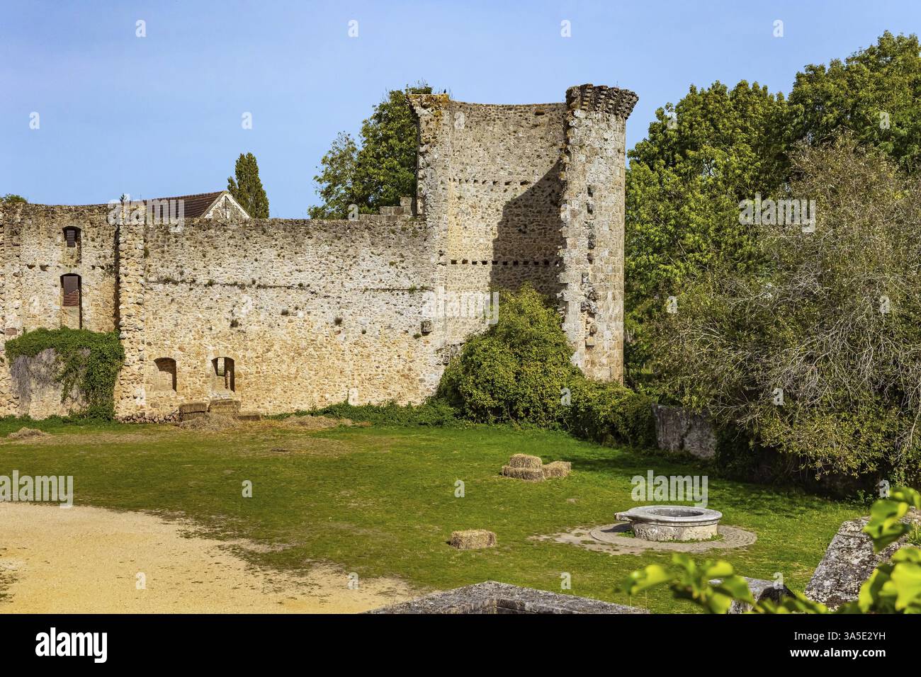 Der Burghof ist mit Gras bewachsen. Verteidigungsmauern und runder Steinbrunnen. Das Chateau de la Madeleine in Chevreuse. Frankreich. Die Ile-de-Franc Stockfoto