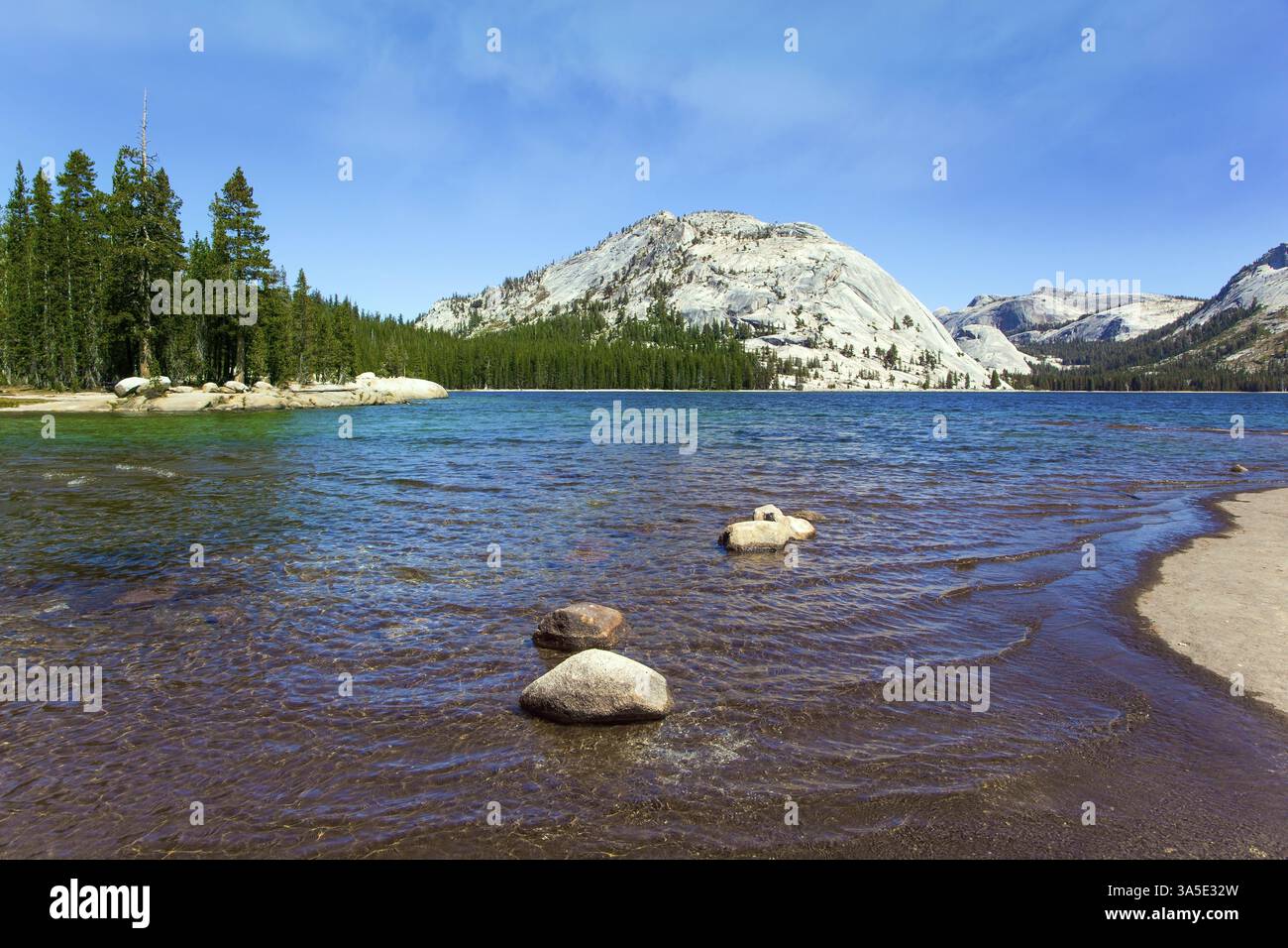 Wunderschön im Yosemite Park, entlang der Tioga Road. Die Steinstrände umgeben den Tenaya See. Der immergrüne Wald am Fuße der Berge umgibt Stockfoto