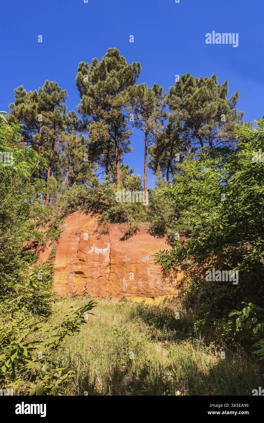 Einzigartige rote und orangene Hügel in der Provinz Languedoc - Roussillon, Frankreich. Grüne Bäume bilden einen schönen Kontrast zum hellen Ocker Stockfoto