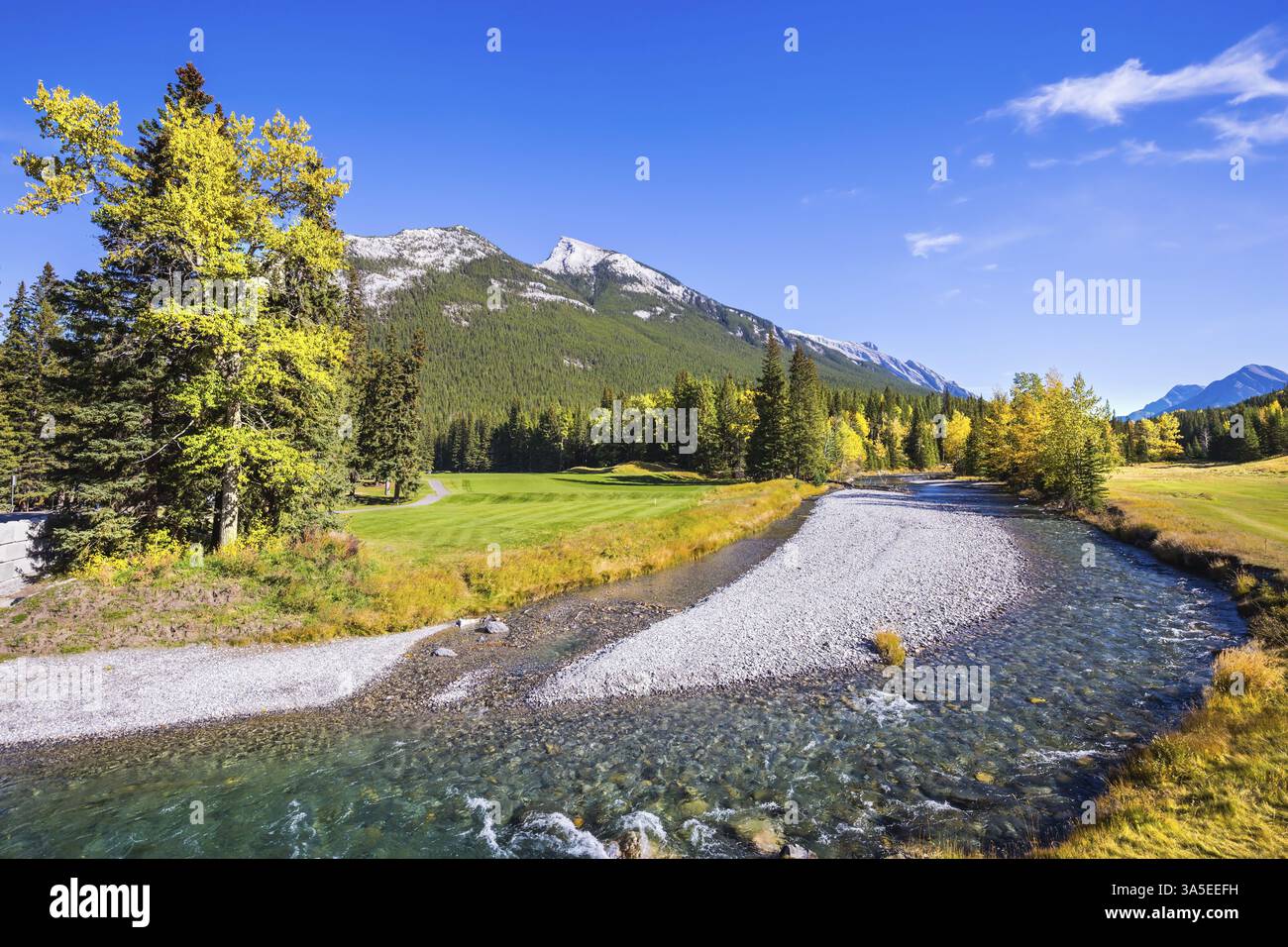 Wunderschöner Park Banff in den Rocky Mountains Kanadas. Der flache Bach zwischen grünen und gelben Rasenflächen Stockfoto