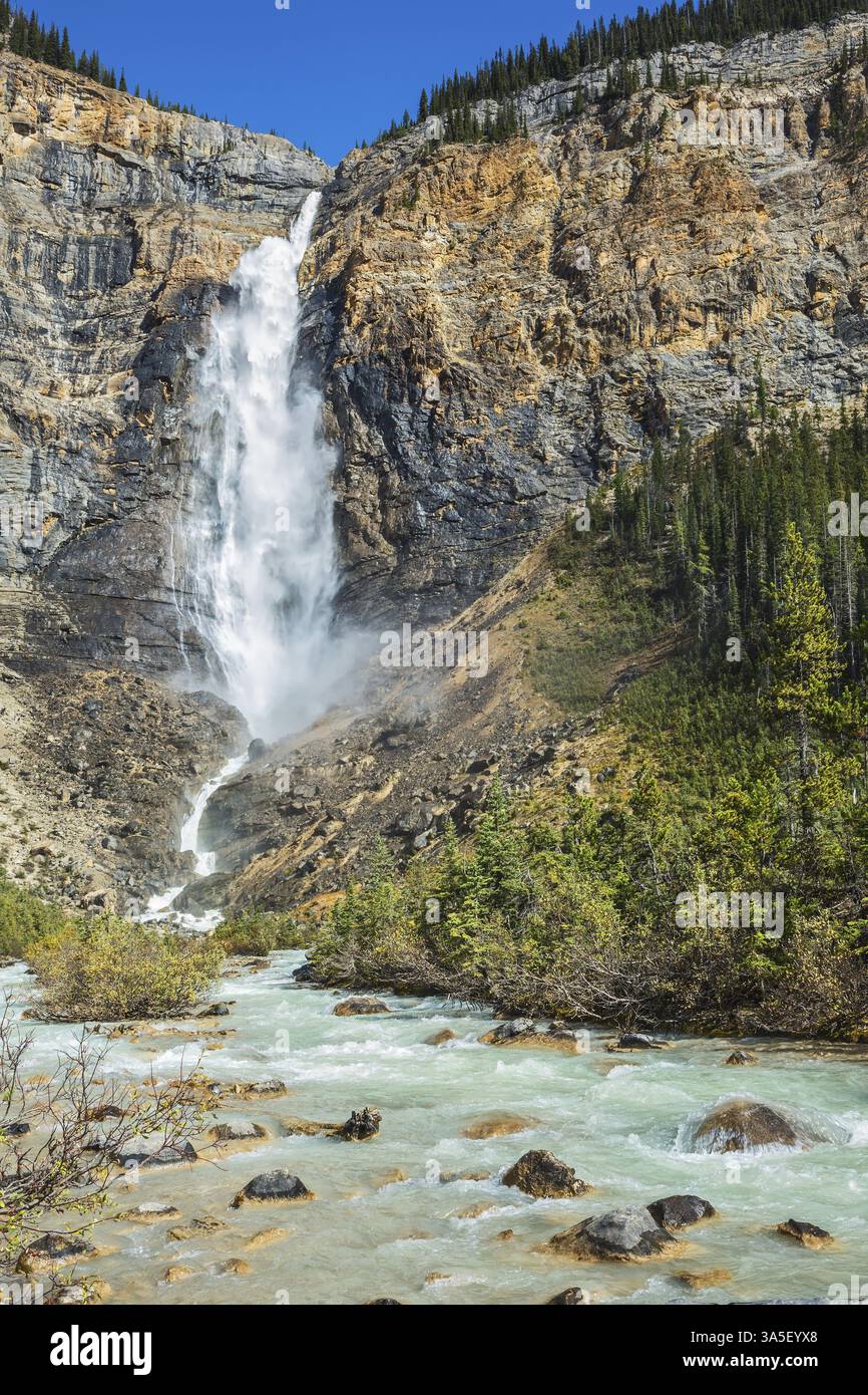 Die gewaltigen Fälle Takakkaw, die durch das Auftauen des Gletschers Daly entstanden sind. Herbsttag im Yoho-Nationalpark in den Rocky Mountains von Kanada Stockfoto Die gewaltigen Fälle Takakkaw, die durch das Auftauen des Gletschers Daly entstanden sind. Herbsttag im Yoho-Nationalpark in den Rocky Mountains von Kanada Stockfoto