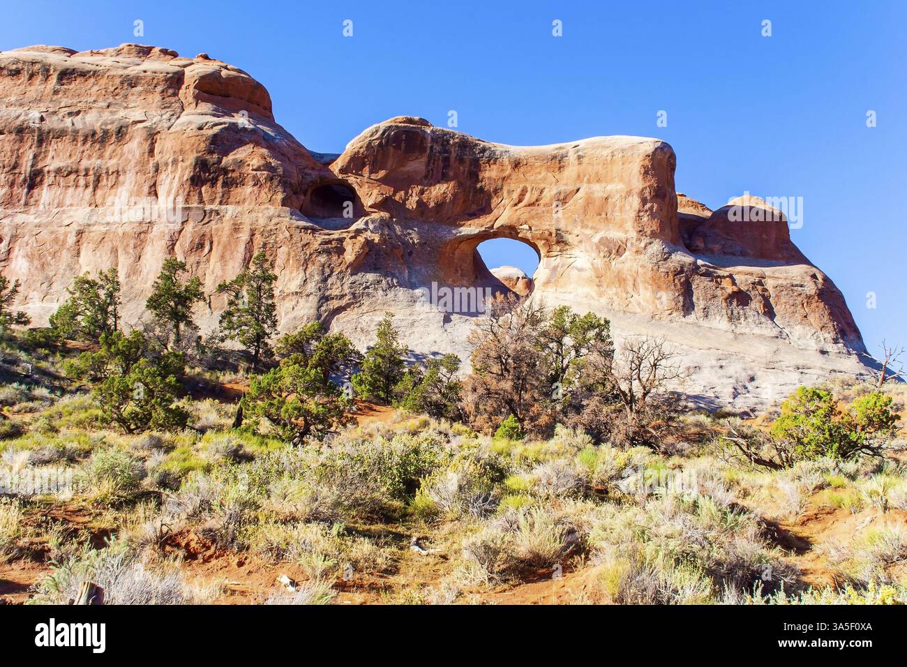 Die einzigartige Schönheit des Arches Park in den USA. Malerische rotbraune Sandsteinklippen bilden eine einzigartige Landschaft. Grandiose Gesteinskompositionen natürlichen Ursprungs Stockfoto