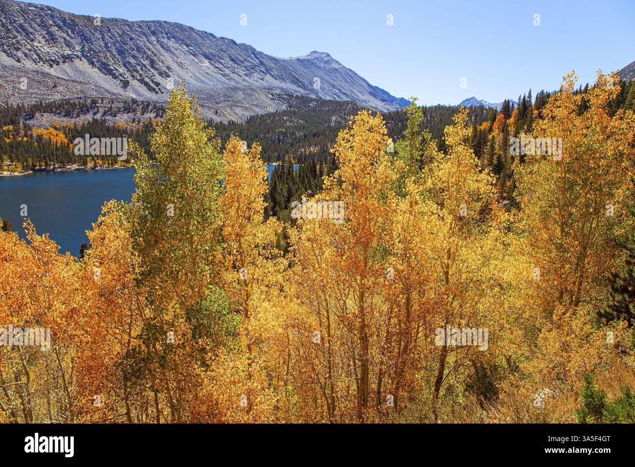 Rock Creek Road Seen. Üppiger Herbst in Montana, USA. Orangefarbene, gelbe und rote Blätter von Birken und Espen. Blaues Seewasser. Malerische Berge Stockfoto