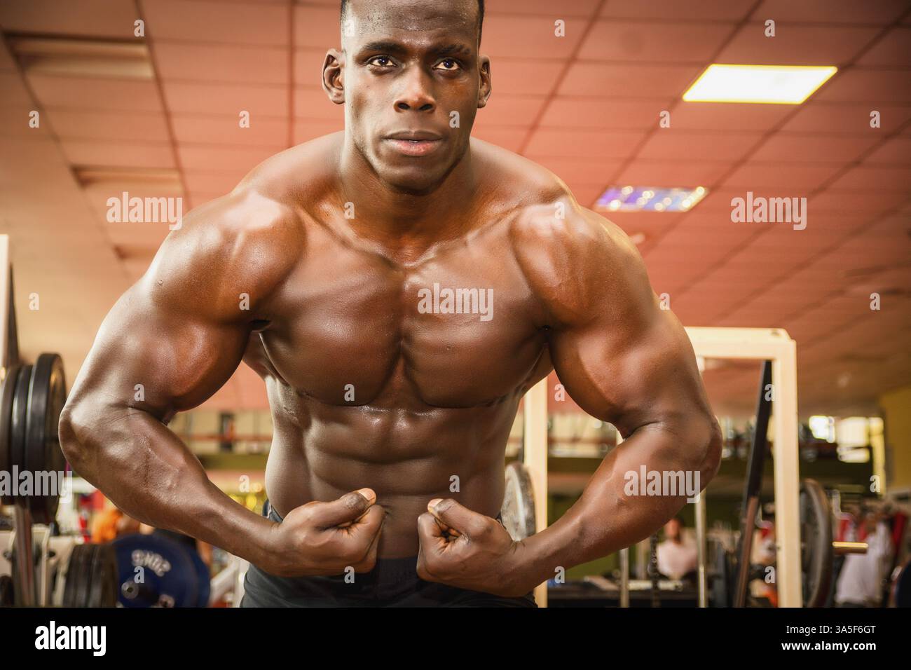 Attraktive Hunky schwarzen männlichen Bodybuilder Bodybuilding Pose im Fitness-Studio zu tun Stockfoto