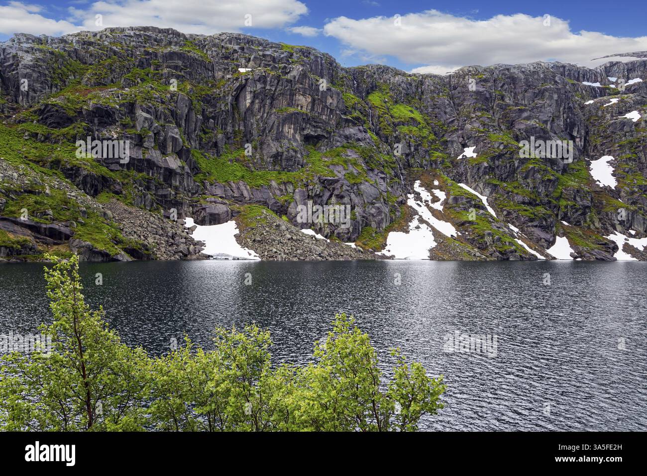 Große Schneefelder spiegeln sich im Wasser des Sees. Kalter Sommer in Norwegen. Fahrt mit dem Wohnmobil auf der Straße 520. Der Schnee und der graue Himmel des letzten Jahres Stockfoto