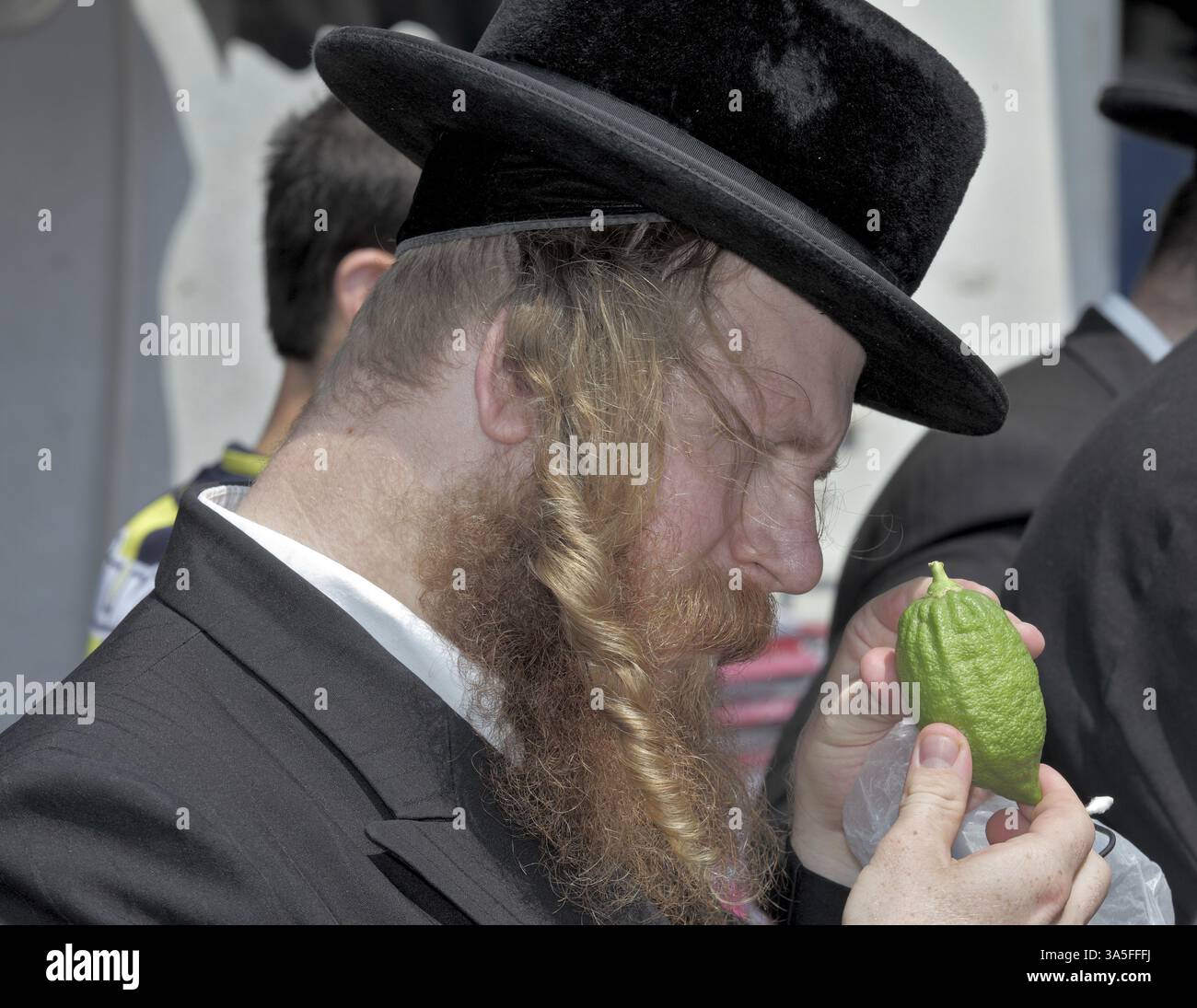 JERUSALEM, ISRAEL - 18. SEPTEMBER 2013: Traditioneller Markt vor dem Feiertag von Sukkot. Der religiöse Jude mit rotem Bart und langen Seitenlocken sorgsam Stockfoto