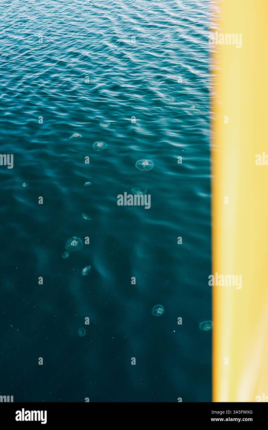 Mondbeleuchtete Gelees gleiten durch flüssiges Glas, wo Wellen und Dock-Silhouetten zu einer ruhigen aquatischen Poesie verschmelzen. 🌊✨ Stockfoto