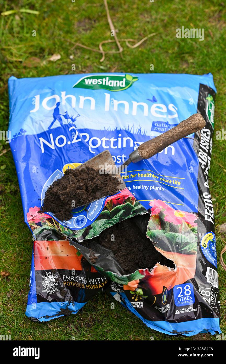 Vorbereitung auf den Sommer mit John Innes Gartenkompost im Frühling Stockfoto
