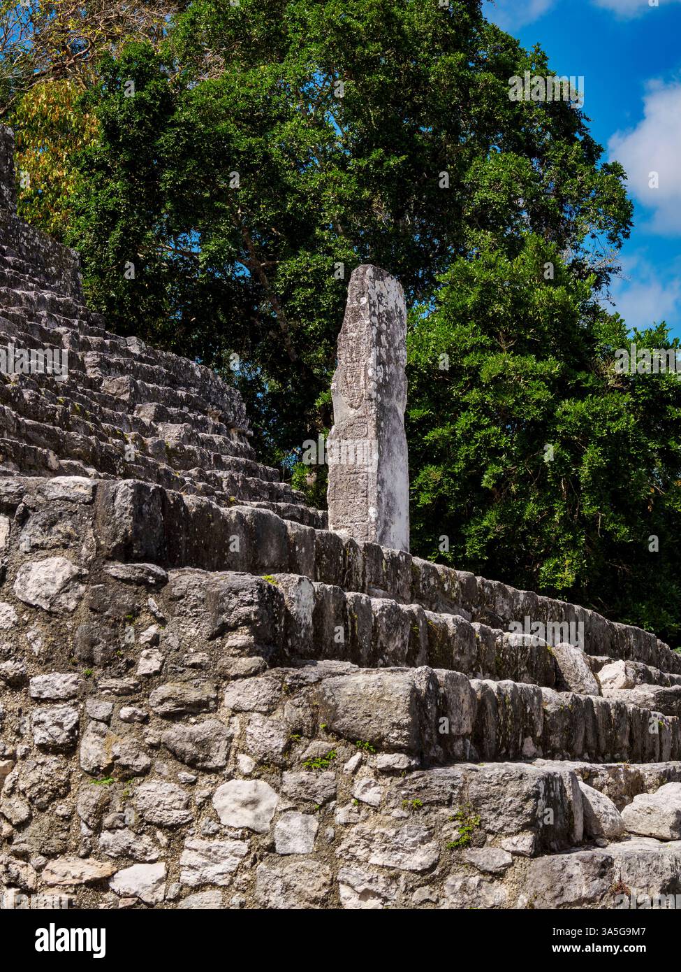 Stele in Struktur II, Calakmul Archäologische Stätte, Campeche State, Mexiko Stockfoto Stele in Struktur II, Calakmul Archäologische Stätte, Campeche State, Mexiko Stockfoto