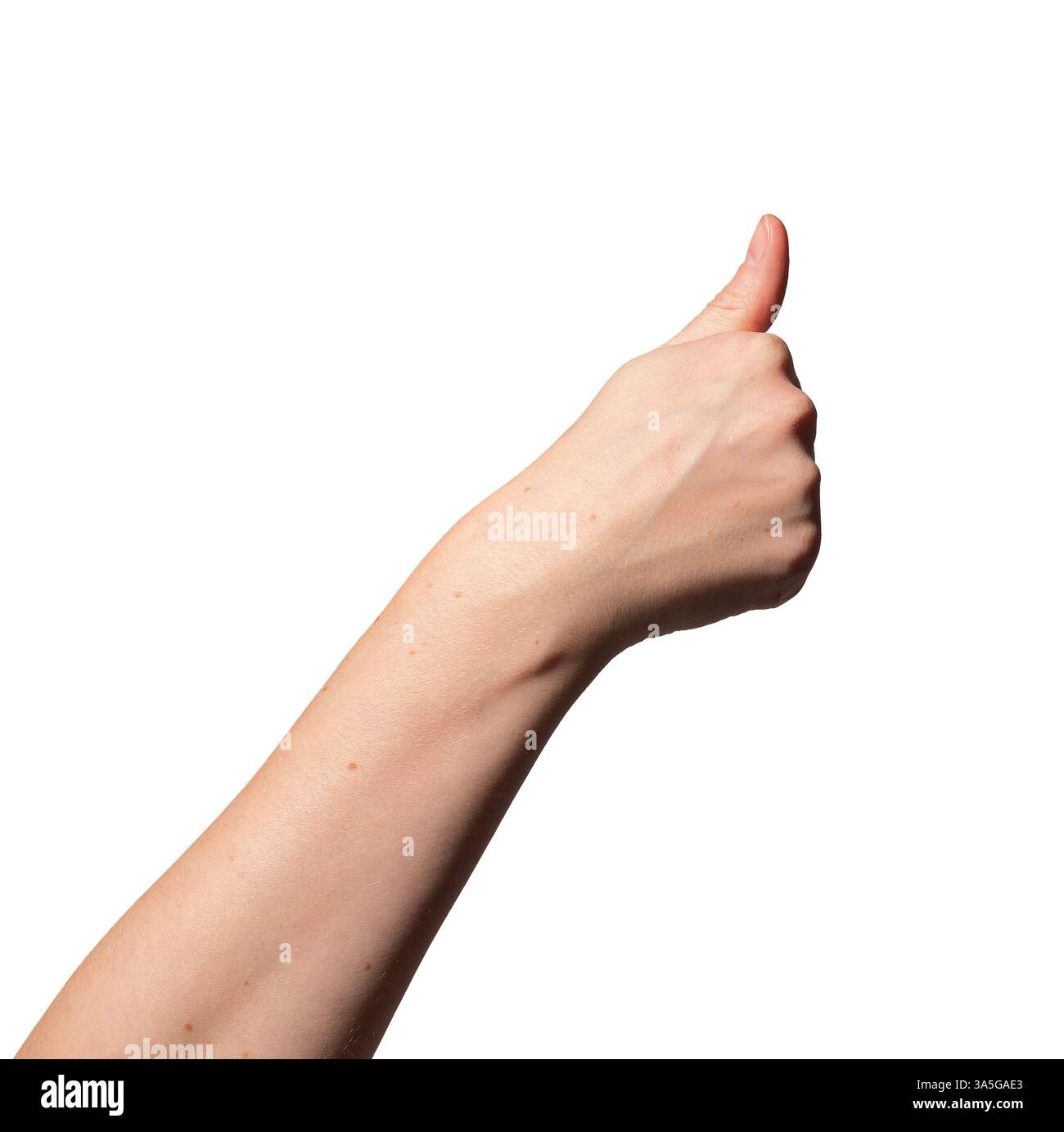 Hand- und Fingerdruck für biometrische Authentifizierung als Symbol für Sicherheit, Identitätsüberprüfung und digitalen Zugriff. Kaukasische weibliche Inte Stockfoto