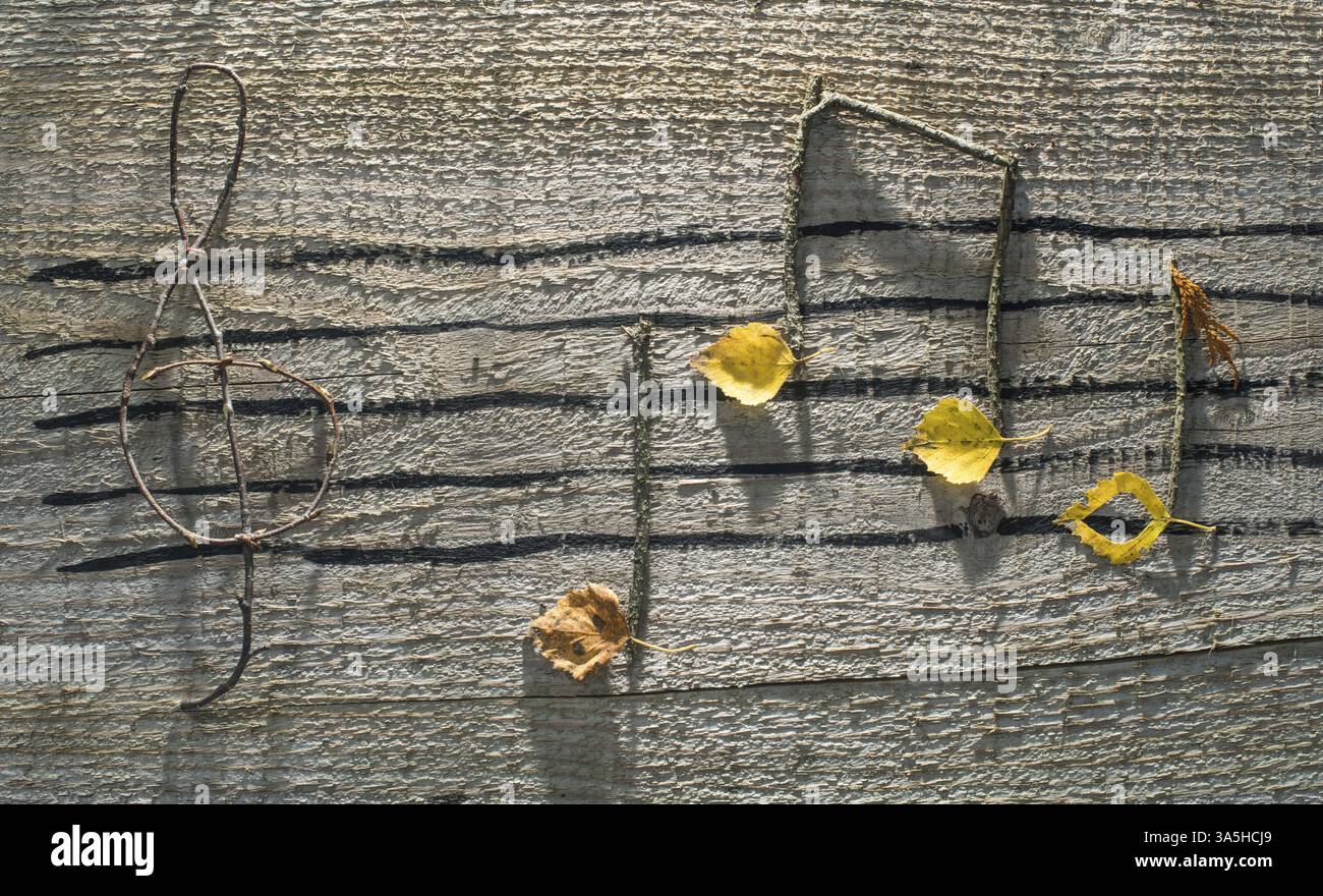 Musiknoten-Konzeption. Hölzerne Noten und Blätter Stockfoto