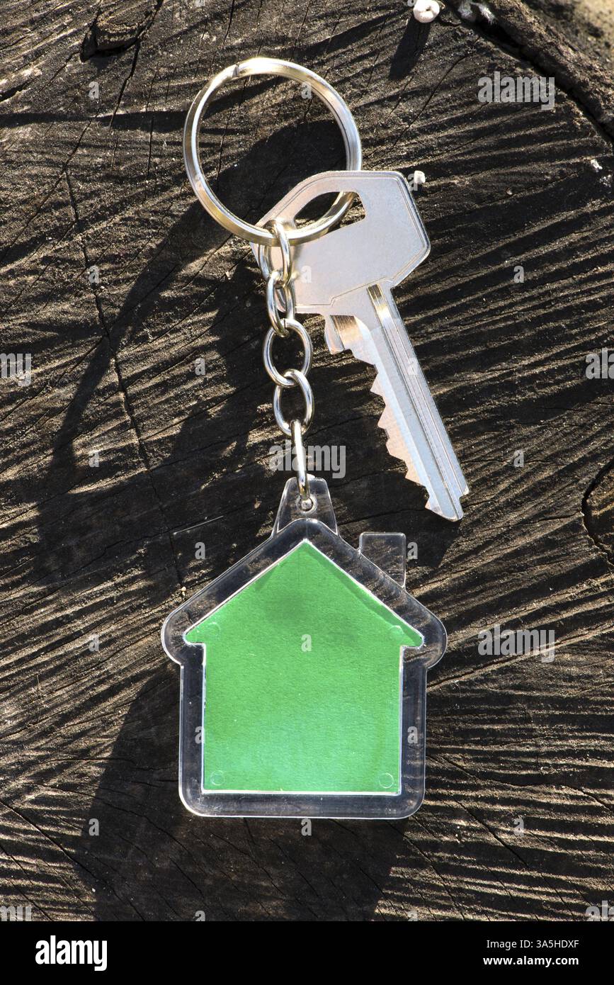 Schlüsselanhänger in Form des Hauses auf Holz. Grüne Farbe Haus Stockfoto