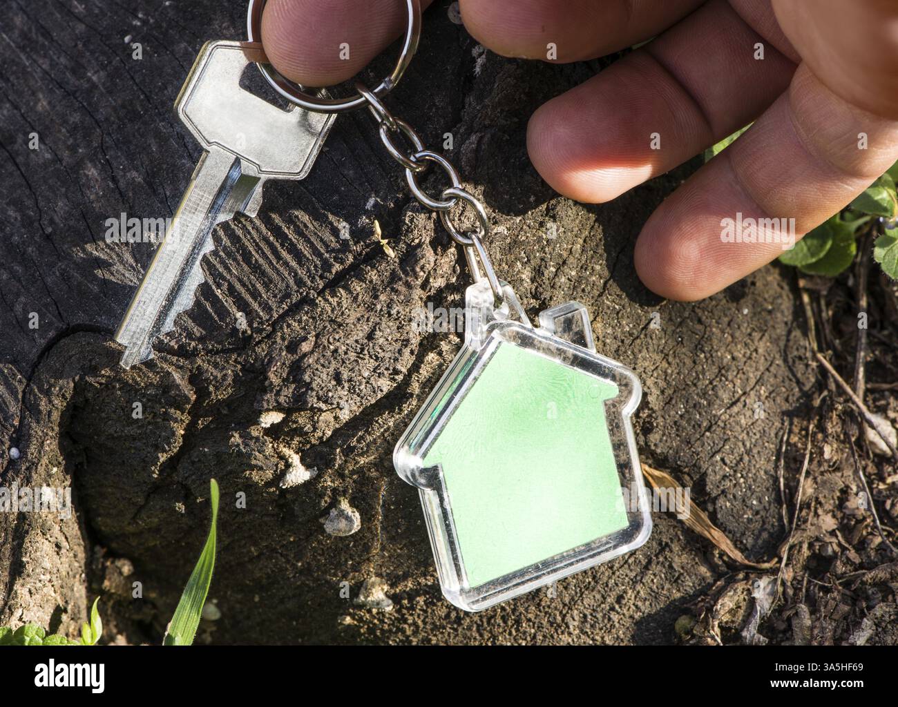 Schlüsselanhänger in Form des Hauses auf Holz. Grüne Farbe Haus Stockfoto