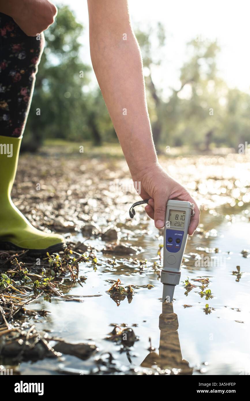 Messen Sie den Wassergehalt mit einem digitalen Gerät. Sonnenaufgang über dem Wasser. PH-Messgerät Stockfoto