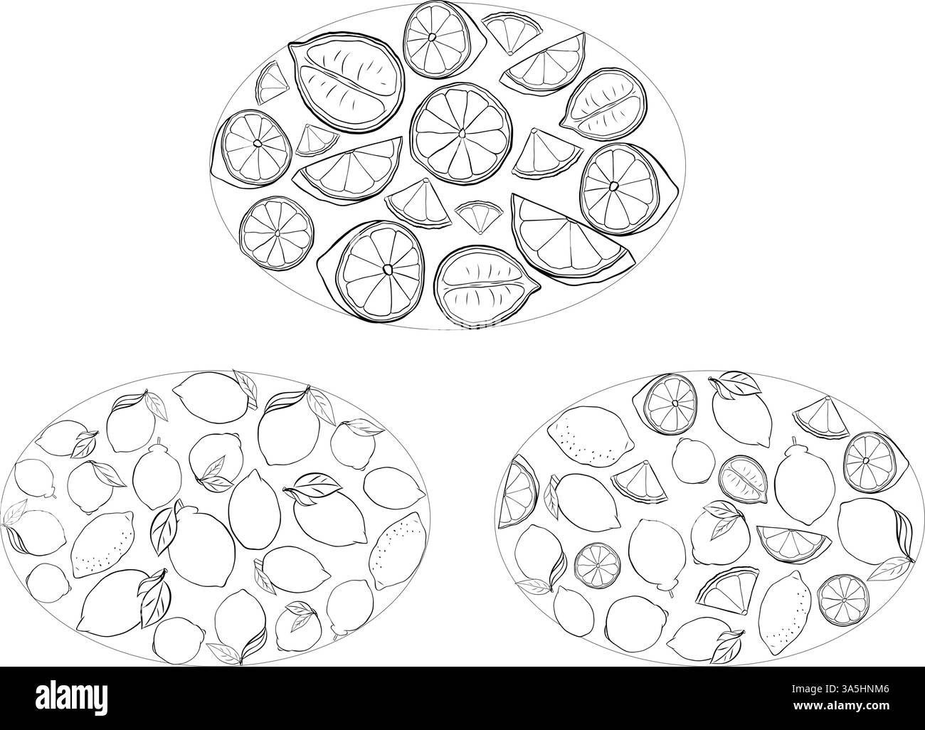 Gelbe Zitrone im Ganzen mit ovalen Blättern. Grafischer Vektorstrich auf transparentem Hintergrund. Abbildung für Paket, Küche Stock Vektor