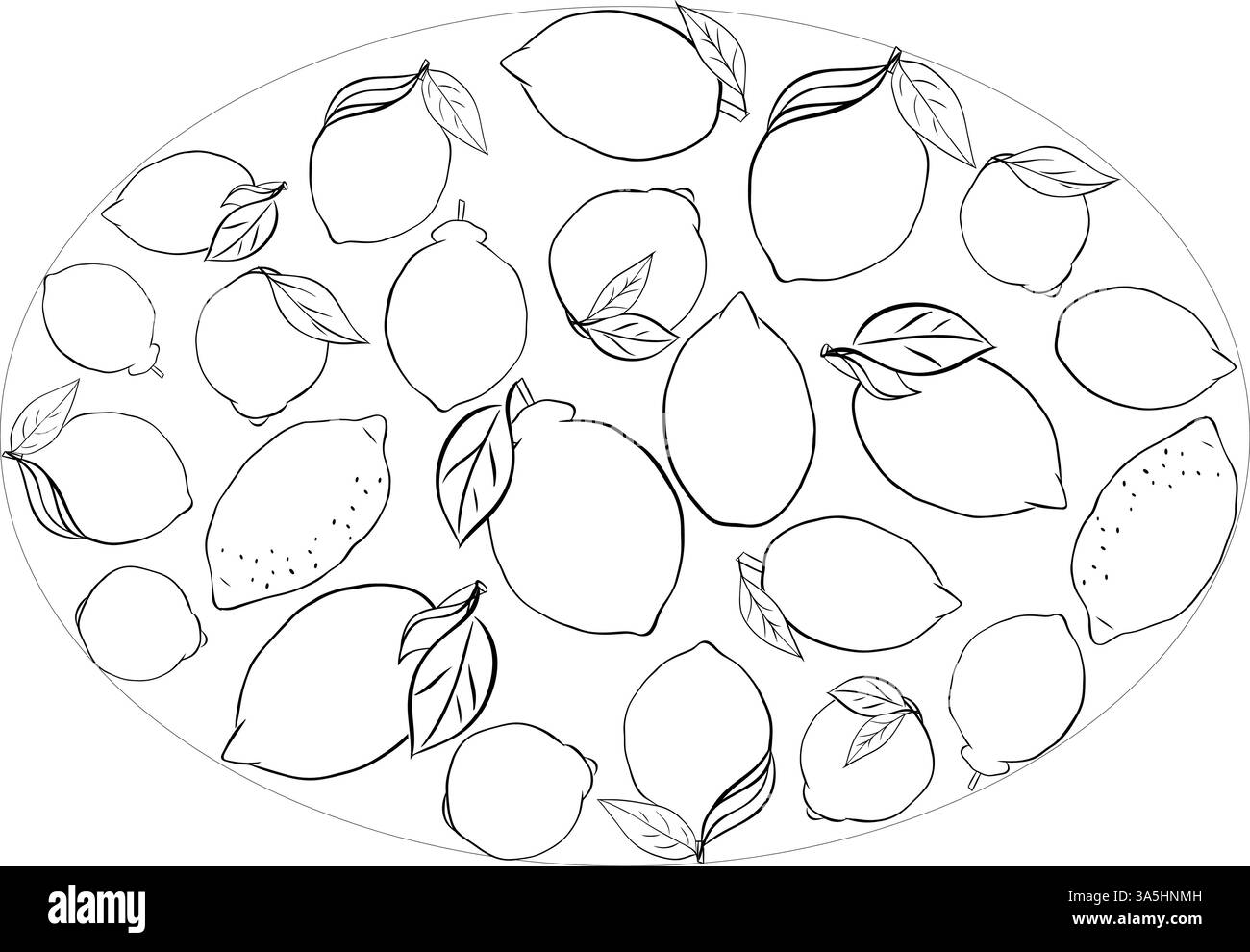 Gelbe Zitrone mit ovalen Blättern. Grafische Vektorlinie Tinte Schwarzweiß Illustration auf transparentem Hintergrund. Banner, Poster, Logo, Stick Stock Vektor