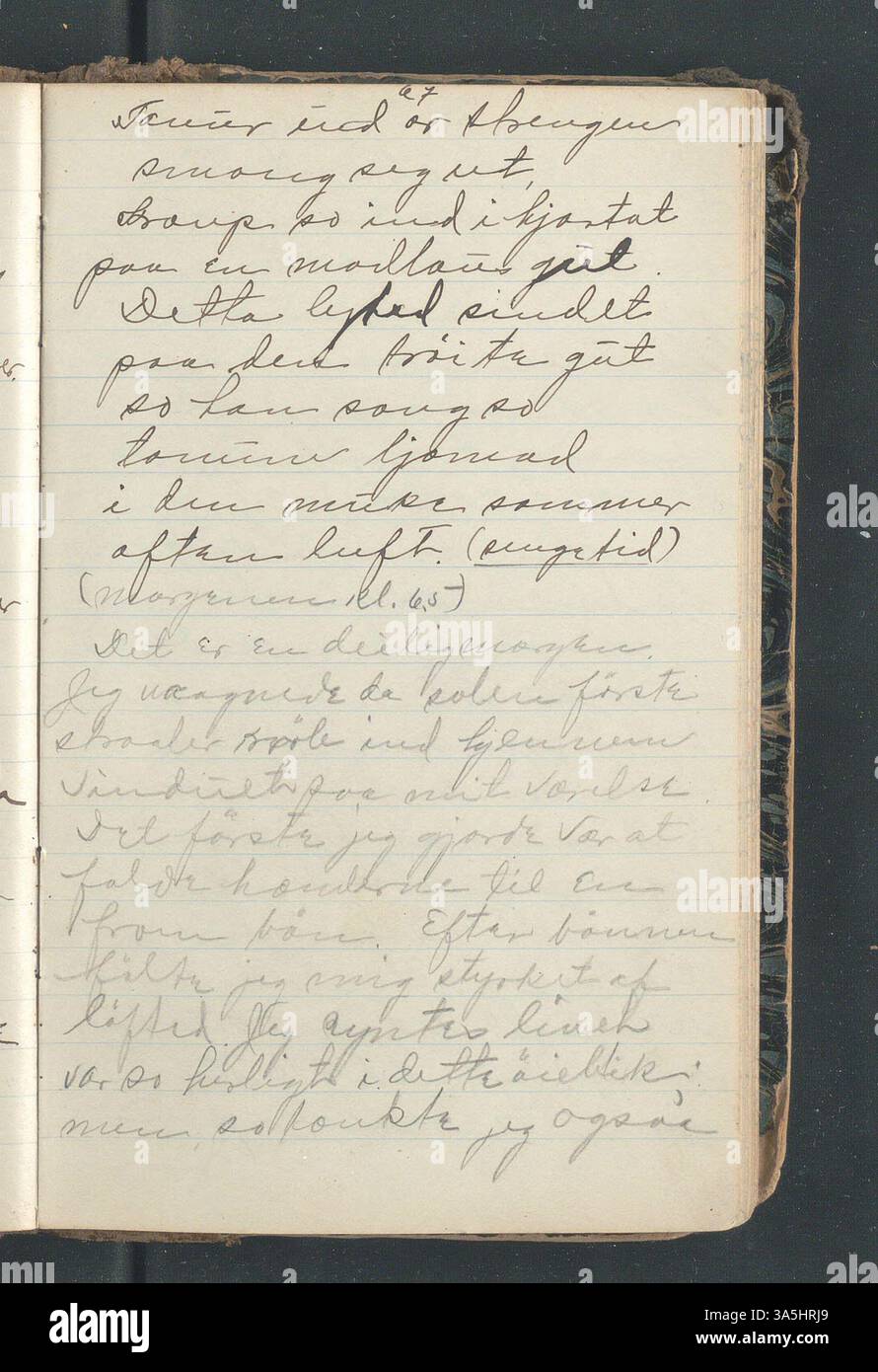 OLE E. Rølvaag Tagebuch von 1896 beschreibt seine Auswanderungsreise von Donna, Norwegen in die Vereinigten Staaten. Das Tagebuch, das von der Norwegisch-Amerikanischen Historischen Vereinigung aufbewahrt wird, bietet einen detaillierten Bericht aus erster Hand über die Einwanderung aus dem späten 19. Jahrhundert. Stockfoto