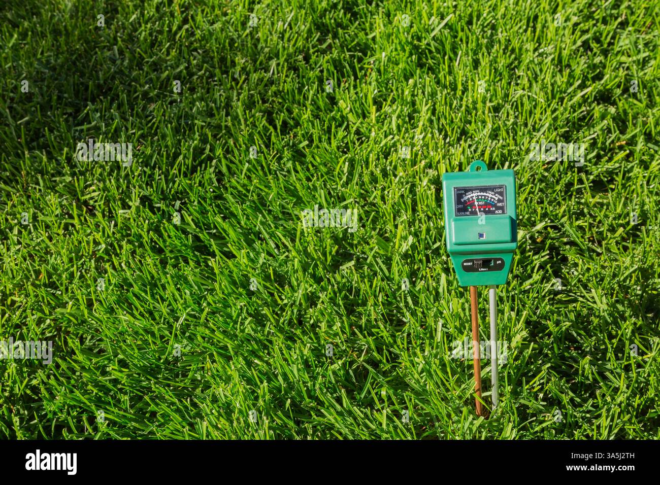 3-in-1-Messgerät für Luminanz, Feuchtigkeit und pH-Wert, das den Bodenzustand von Poa pratensis - Kentucky Bluegrass-Rasen anzeigt, ist kaum feucht. Stockfoto