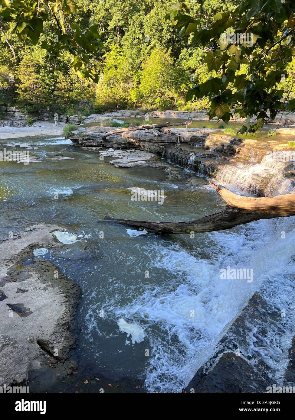 Die Liebe zur Natur - Smartphone-aufgenommenes Stockfoto