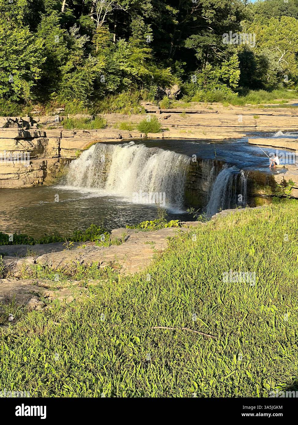Die Liebe zur Natur - Smartphone-aufgenommenes Stockfoto