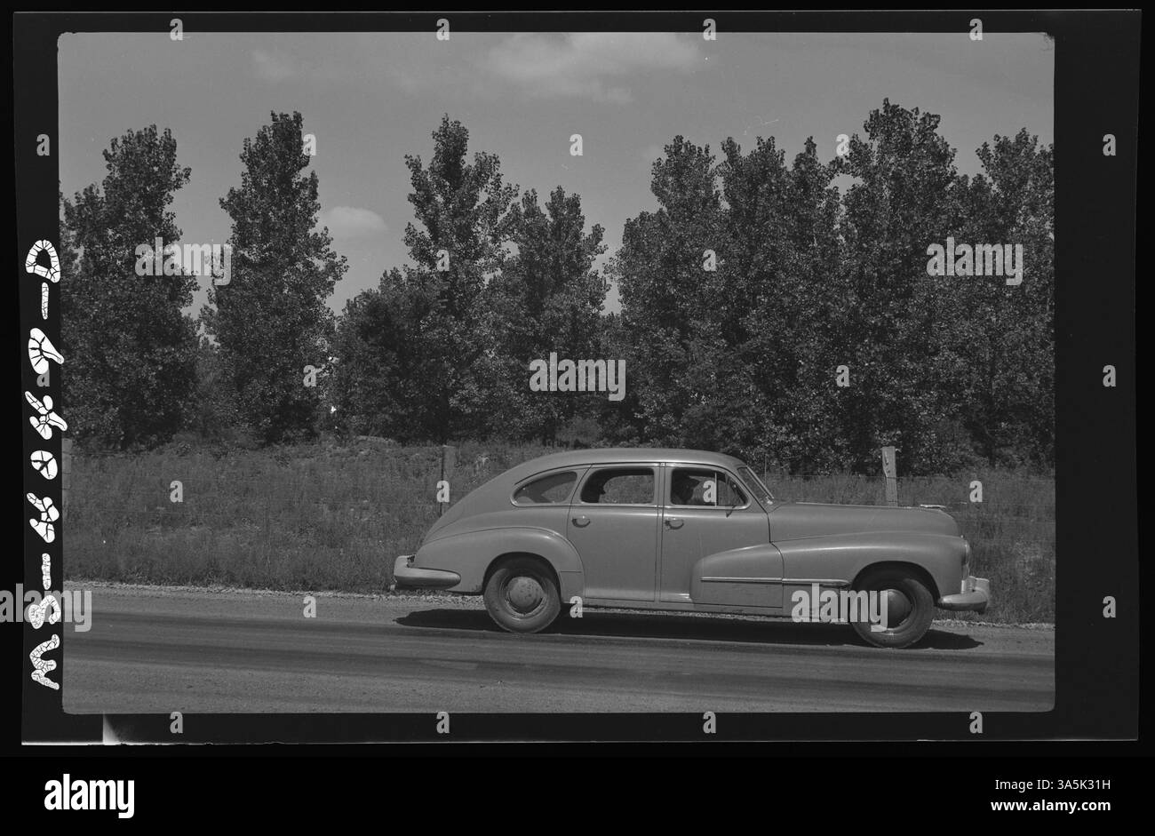 Holz wächst auf einem aufbereiteten Abraumgebiet in der Burning Star Mine der Truax Traer Coal Company in Elkville, Jackson County, Illinois, und zeigt die Landsanierung nach dem Kohleabbau. Stockfoto