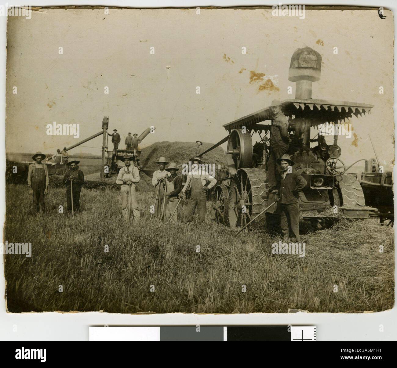 Eine Dreschmannschaft in der Nähe von St. Clair, mit 14 Mann und Dreschausrüstung auf dem Feld. Stockfoto