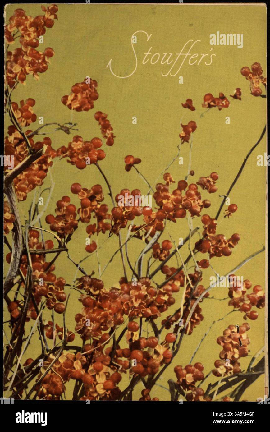 Ein zweifach gefaltetes Menü von Stouffer's mit einem Farbfoto auf dem Cover und einer Vielzahl von Mittagsoptionen, einschließlich Sandwiches, Salate, Hauptgerichte und Desserts. Stockfoto