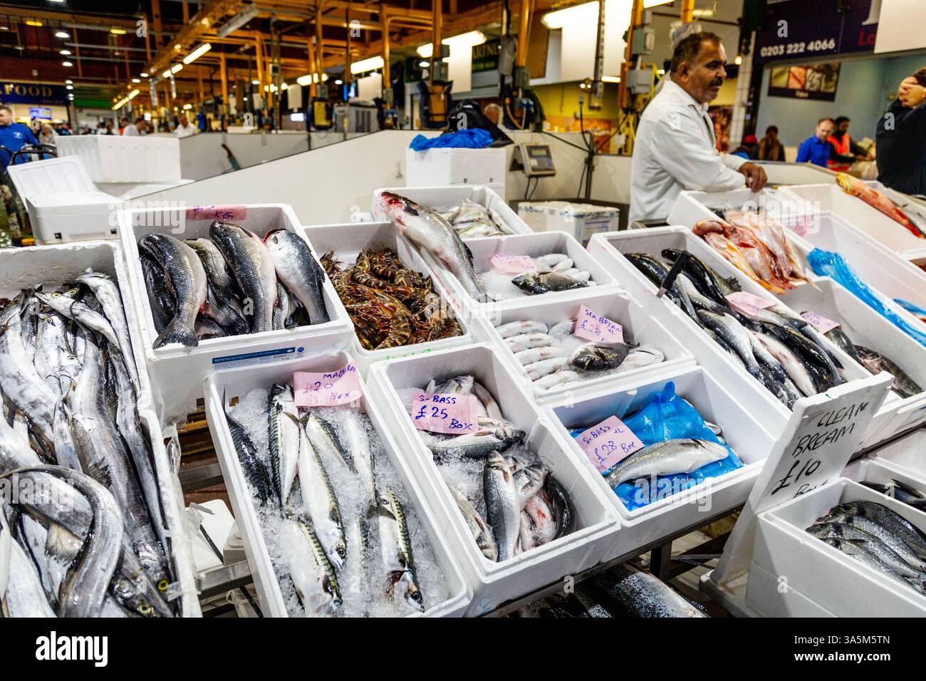 Fischstand am Billingsgate Market, Docklands, London, England Stockfoto