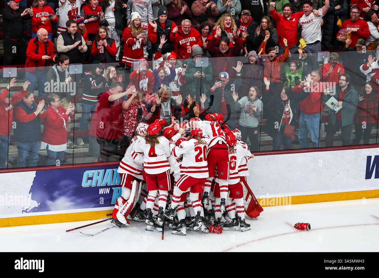 Minneapolis. März 2025. Wisconsin Badgers feiern den Sieg der NCAA Championship, nachdem Stürmer Kirsten Simms (27) in der Ridder Arena in Minneapolis das Siegtor für die Wisconsin Badgers in der Überstunden beim NCAA Women's Hockey Frozen Four Championship-Spiel zwischen Ohio State und Wisconsin erzielte. Steven Garcia-CSM (Bild: © Steven Garcia/Cal Sport Media). Quelle: csm/Alamy Live News Stockfoto