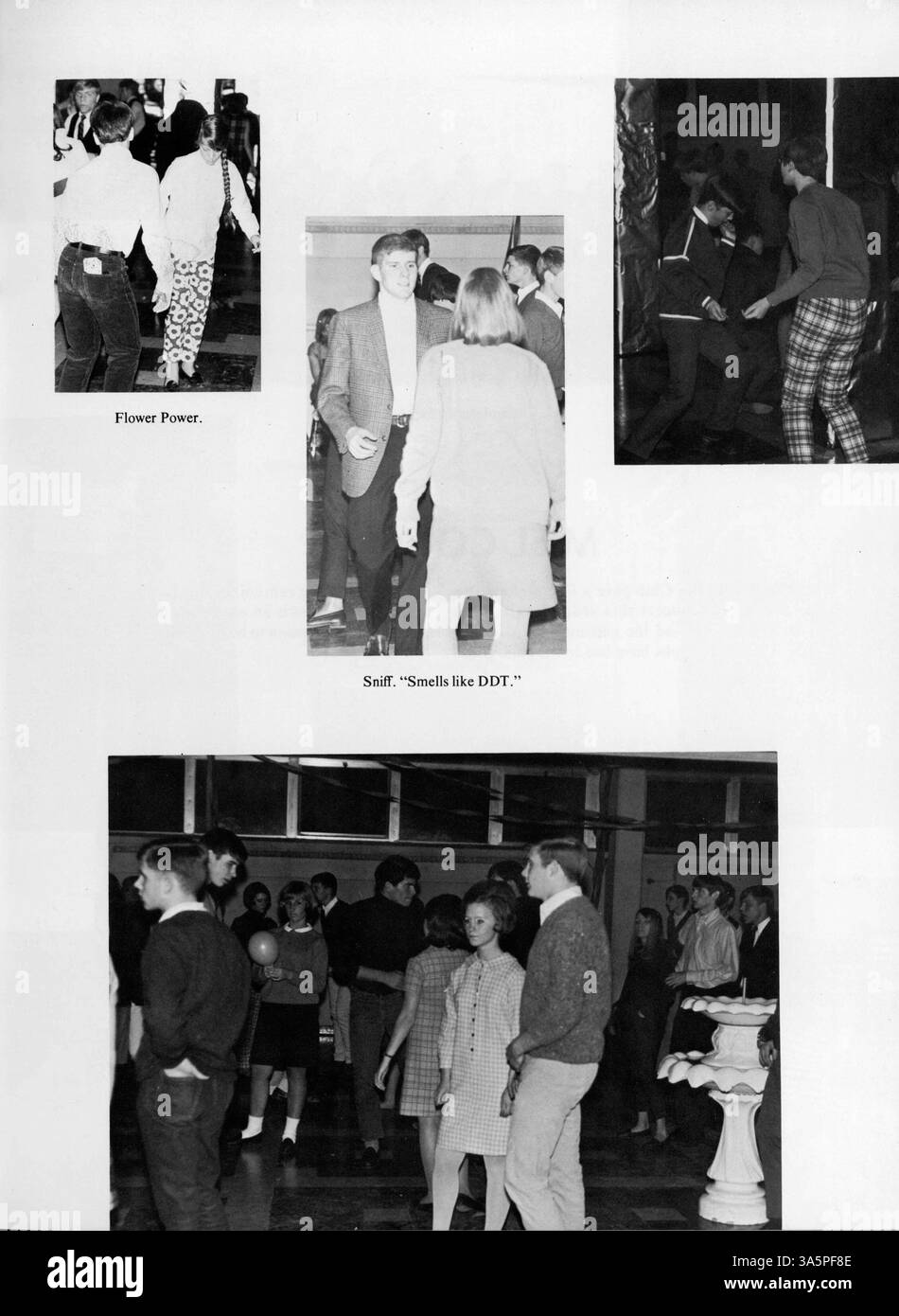 Das Mustang Yearbook der Breck School 1968 dokumentiert das Leben der Schüler, die Lehrkräfte, die Leichtathletik, die Vereine und die wichtigsten Ereignisse des Schuljahres 1967-1968. Stockfoto