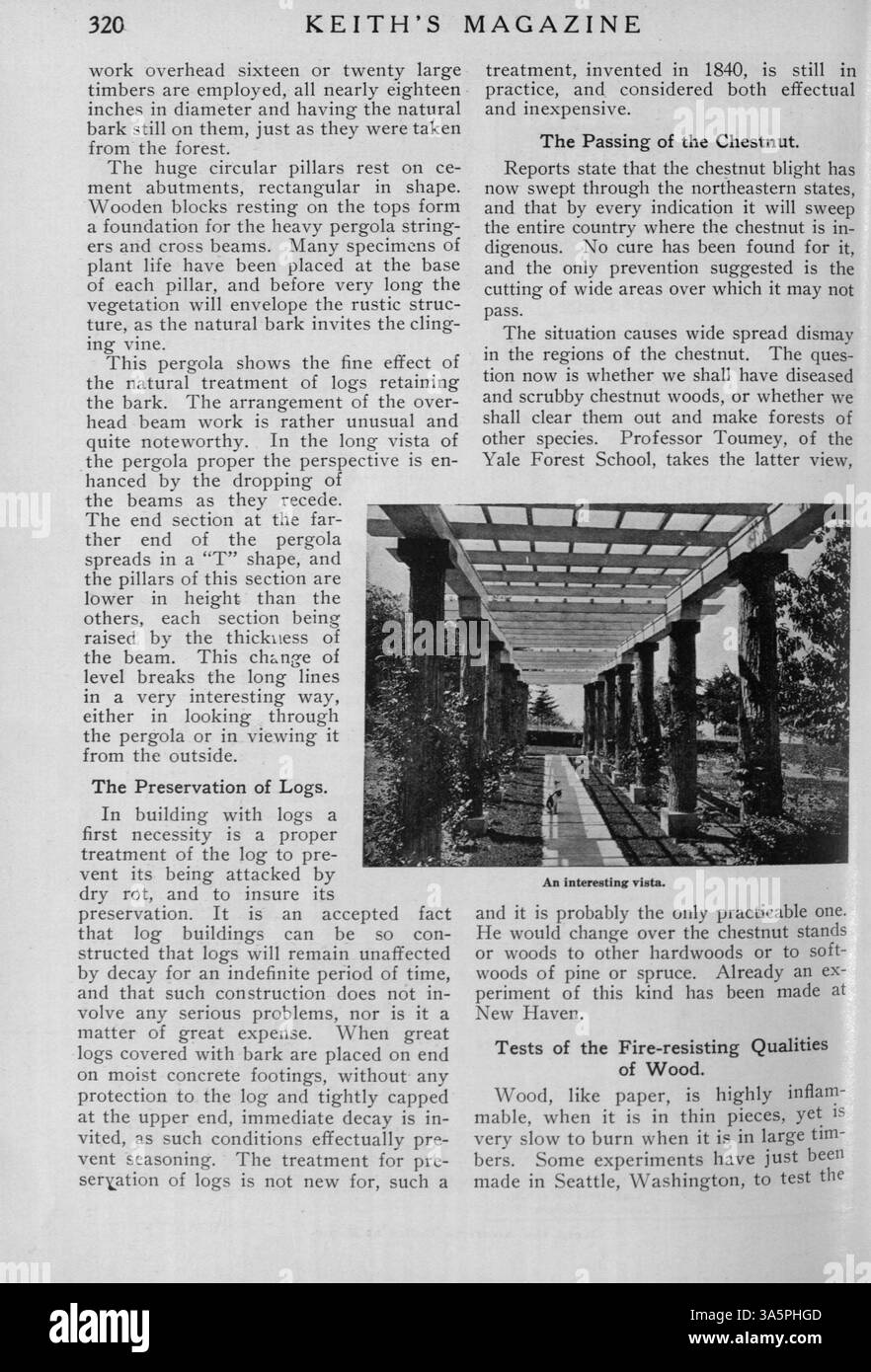 Im Jahr 1916 startete der Architekt Max L. Keith das Keith’s Magazine on Home Building, eine Publikation, in der detaillierte Wohnentwürfe, Grundrisse und Kostenschätzungen vorgestellt werden. Es bietet eine Vielzahl von architektonischen Stilen, Artikel über Innenarchitektur und Landschaftsgestaltung sowie Anzeigen für Wohnmöbel und -Materialien. Einige Ausgaben enthalten Pläne für Kirchen und Schulen. Stockfoto