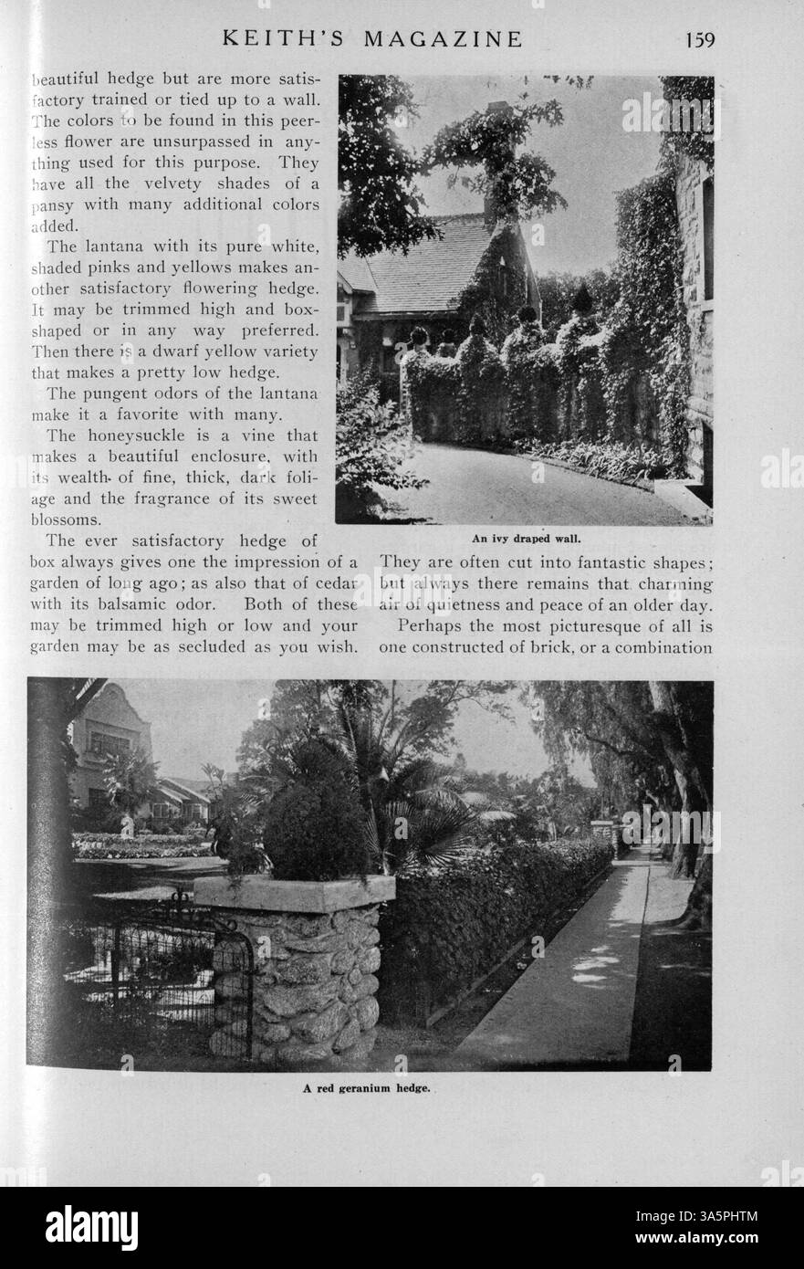 Diese 1916 erschienene Publikation von Max L. Keith, Keith’s Magazine, enthält detaillierte Pläne für Häuser, Kirchen und Schulen mit Schwerpunkt auf verschiedenen architektonischen Stilen. Das Magazin enthält Grundrisse, Fotografien und Kosten sowie Artikel über Innenarchitektur und Landschaftsgestaltung. Werbeanzeigen für Baumaterialien und Wohnmöbel sind ebenfalls enthalten. Fehlende Seiten bei einigen Problemen werden angezeigt. Stockfoto