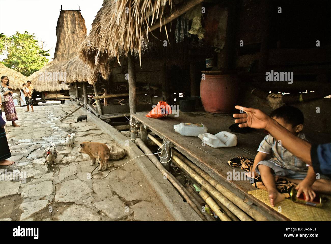 Die Dorfbewohner entspannen sich in einem Haus und auf der Wandergasse in der Nähe von Livestocks im indigenen Dorf Tarung in Soba Wawi, Loli, Waikabubak, West Sumba, East Nusa Tenggara, Indonesien. Laut dem Entwicklungsprogramm der Vereinten Nationen (UNDP) leben schätzungsweise 476 Millionen indigene Menschen in mehr als 90 Ländern. Obwohl sie weniger als fünf Prozent der Weltbevölkerung ausmachen, stellen sie laut Daten 15 Prozent der Ärmsten dar. Stockfoto