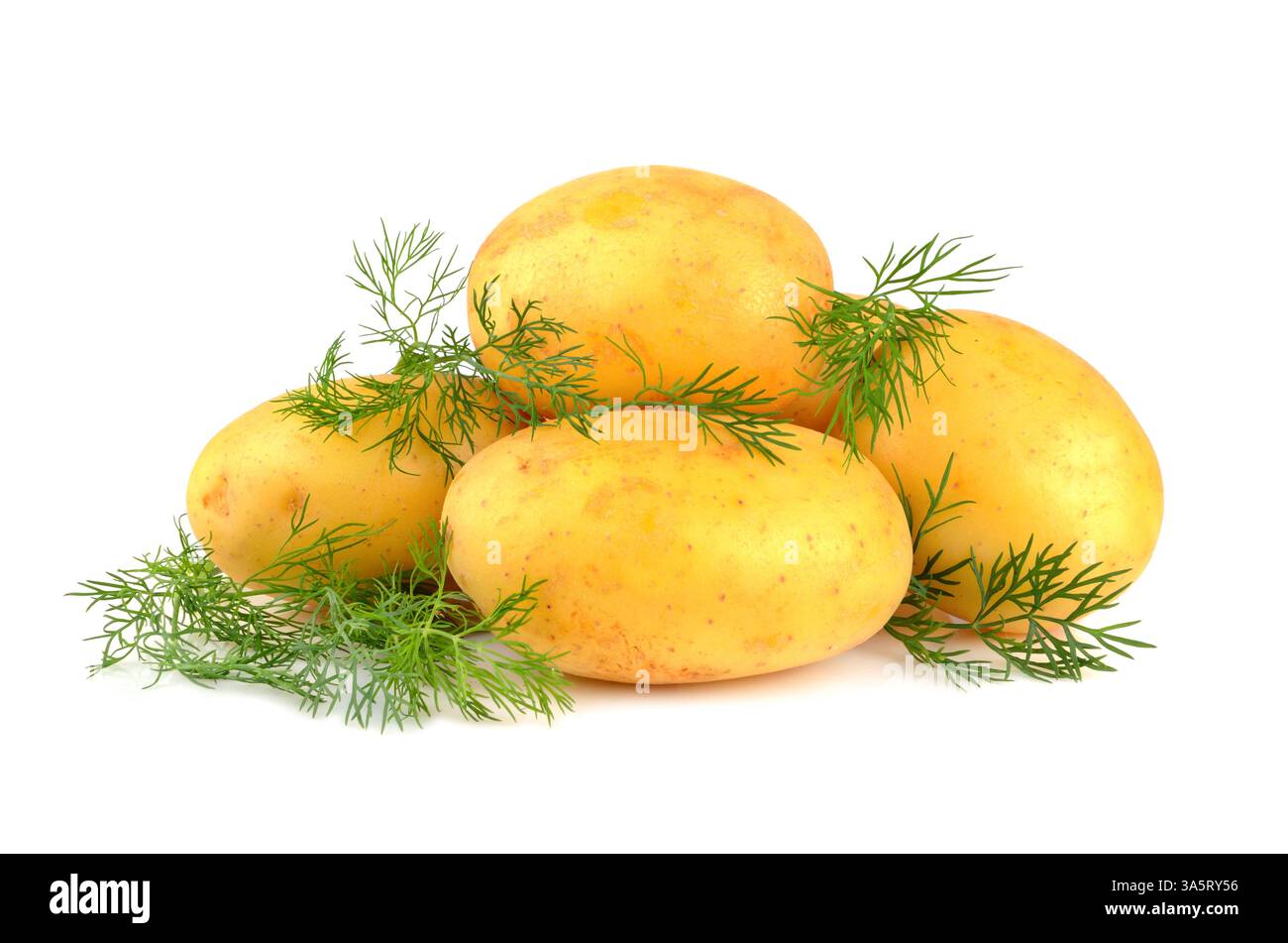 Stapel ganzer Kartoffeln mit grünem Dill auf weißem Hintergrund Stockfoto