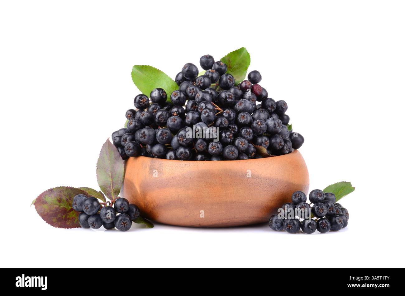 Reife Archaneberry oder schwarze Heidelbeere mit grünen Blättern in Bambusplatte auf weißem Hintergrund Stockfoto