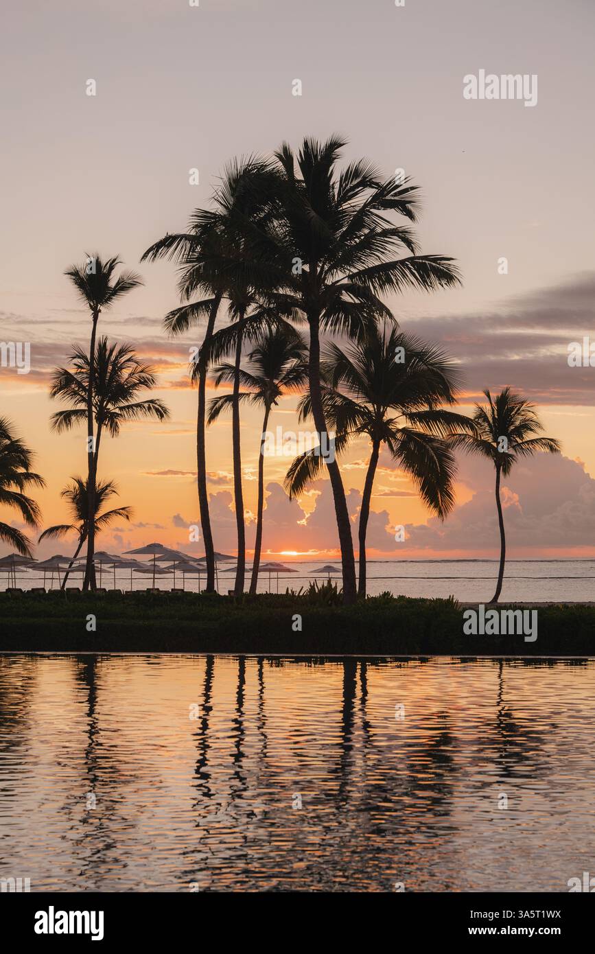 Tropical Sunset Reflection – ruhige Palmen am Ozean Stockfoto