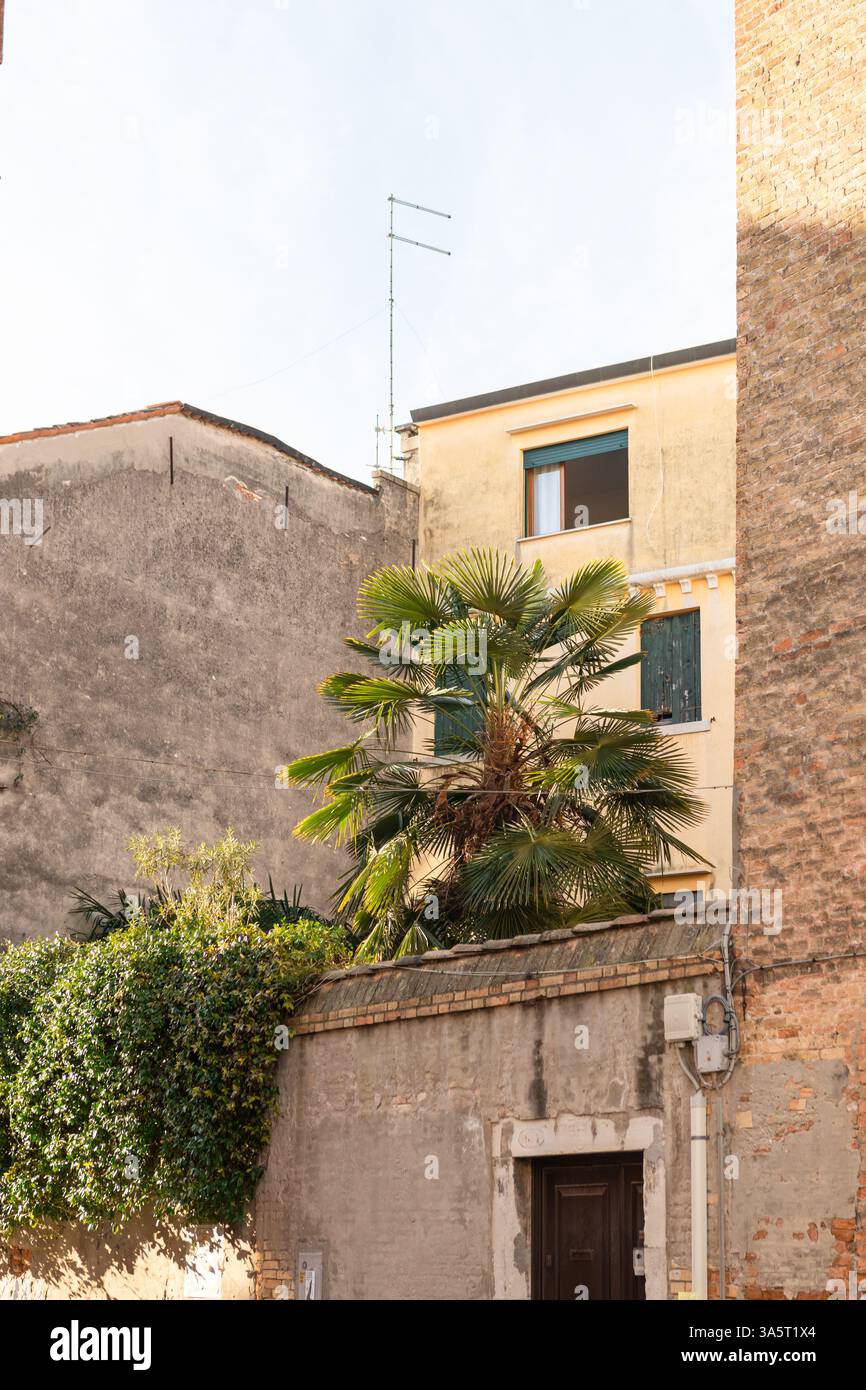 Ein Plättchen in einem städtischen Garten Stockfoto